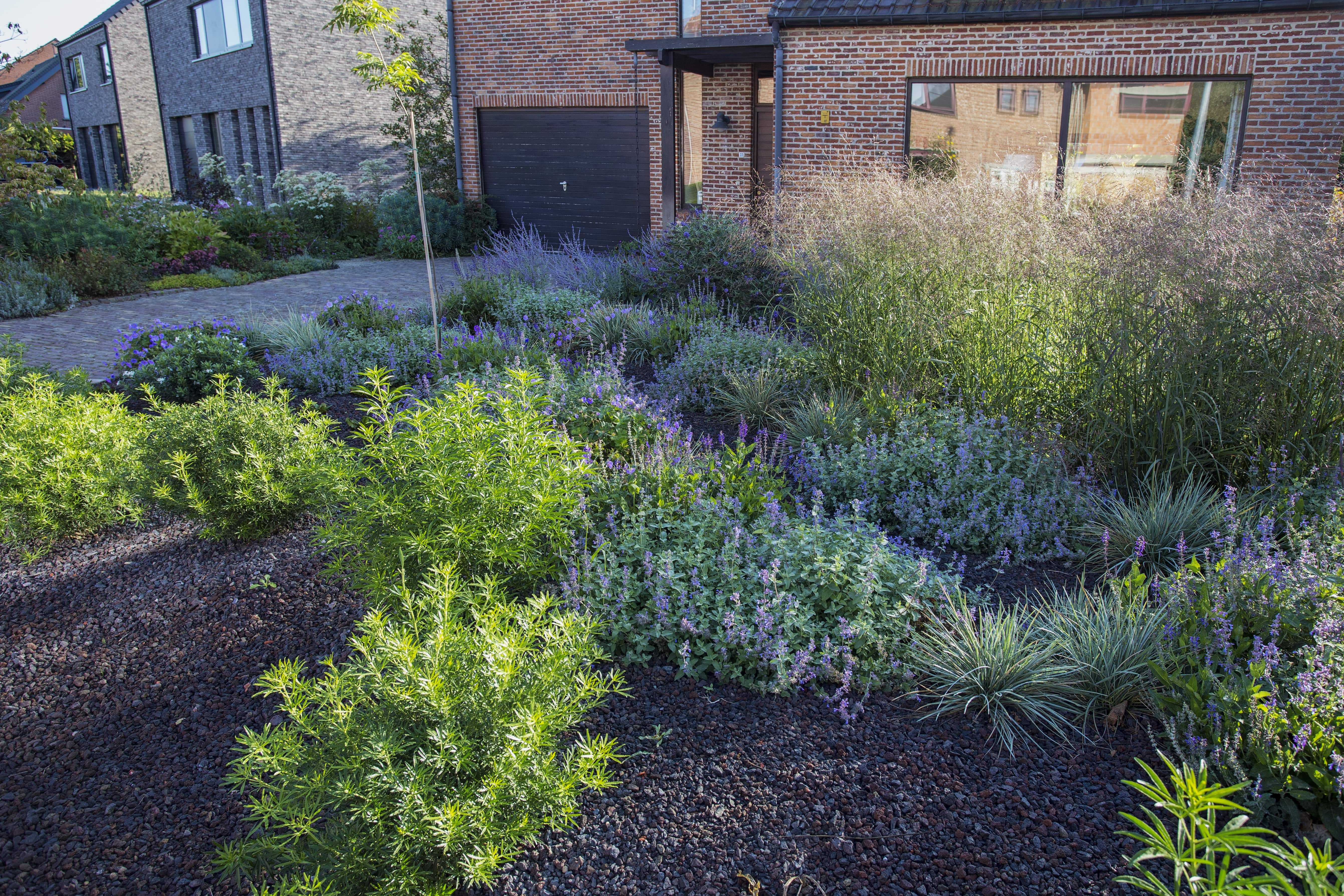 IMG 4539 peeters D min