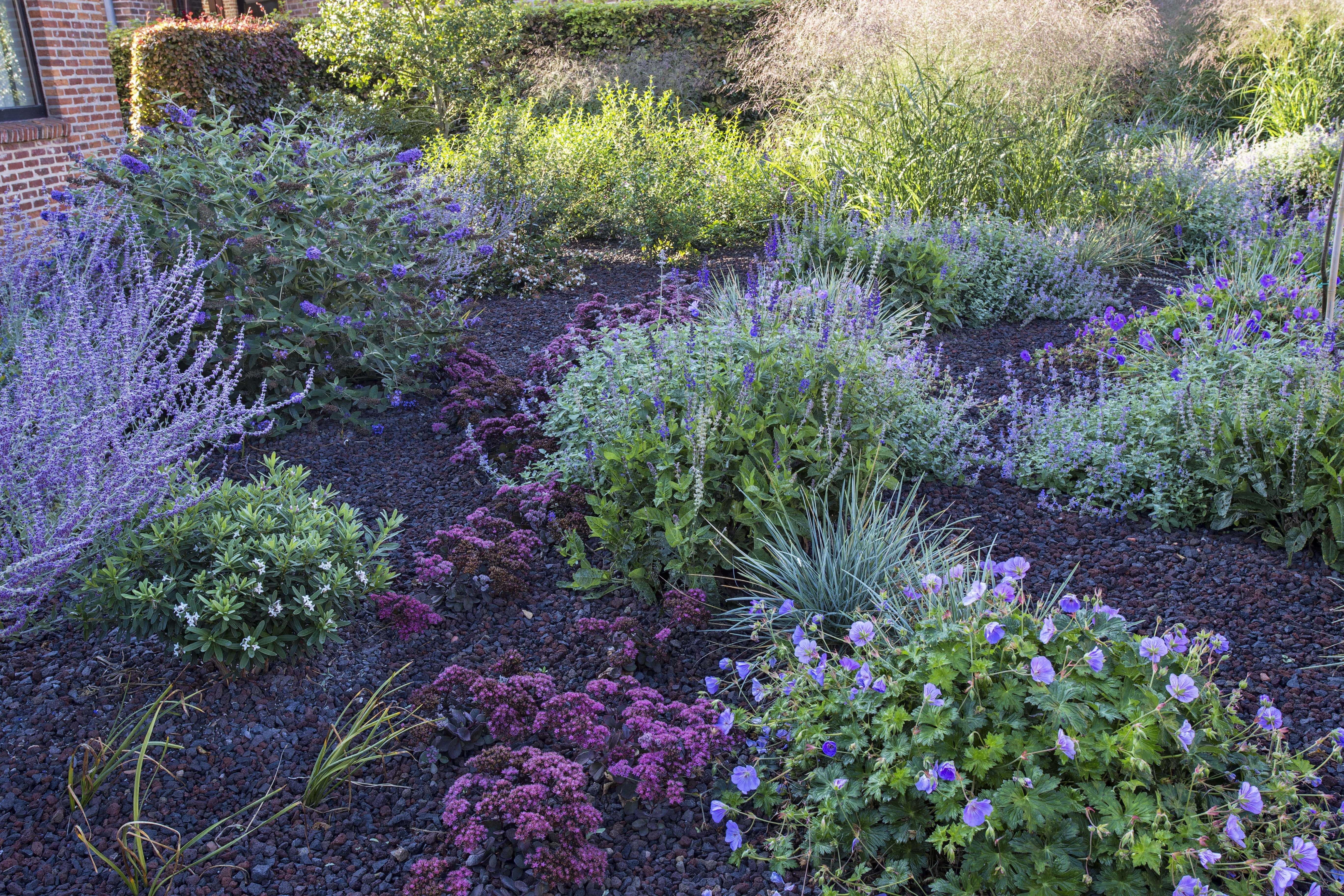 IMG 4540 peeters D min