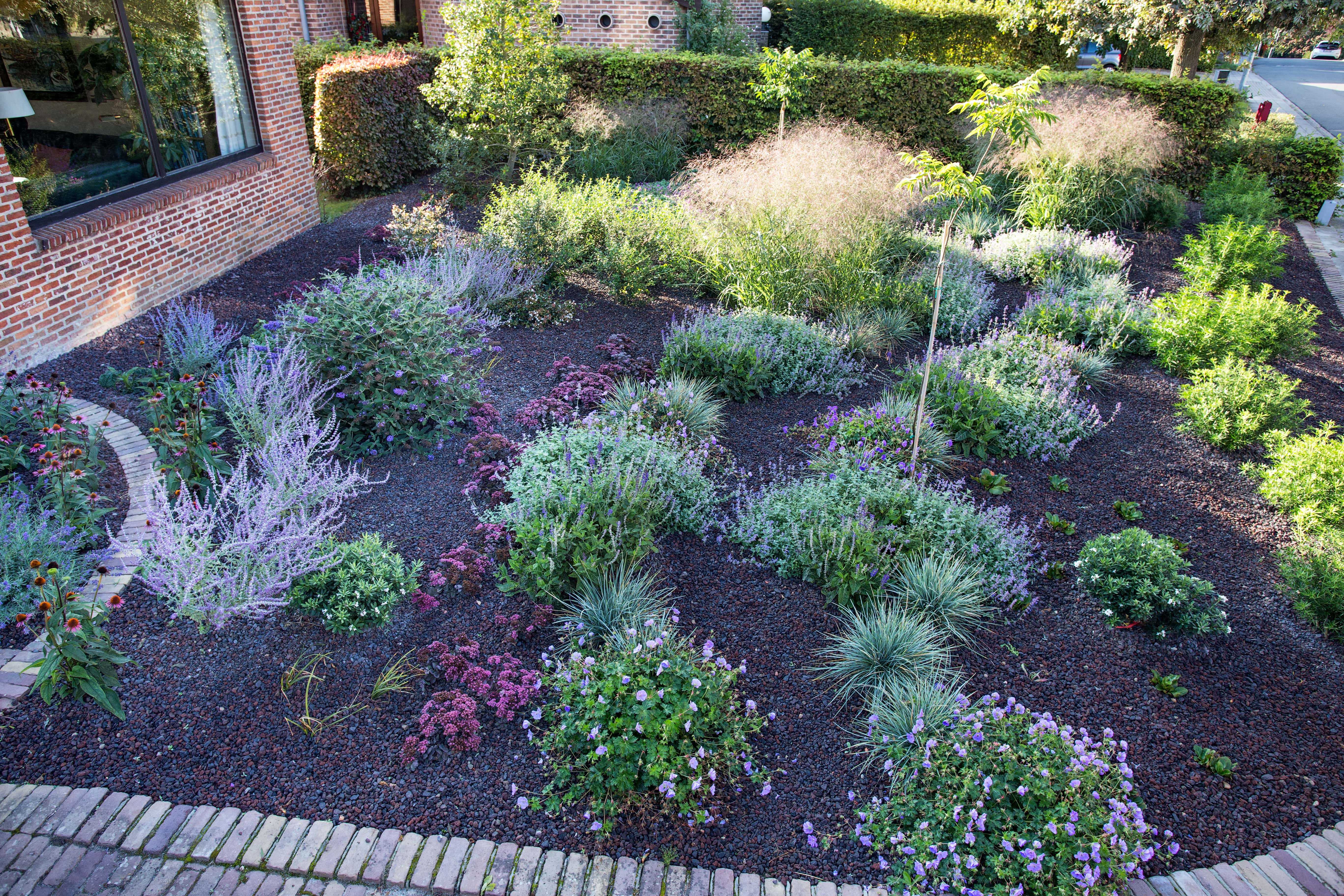 IMG 4545 peeters min