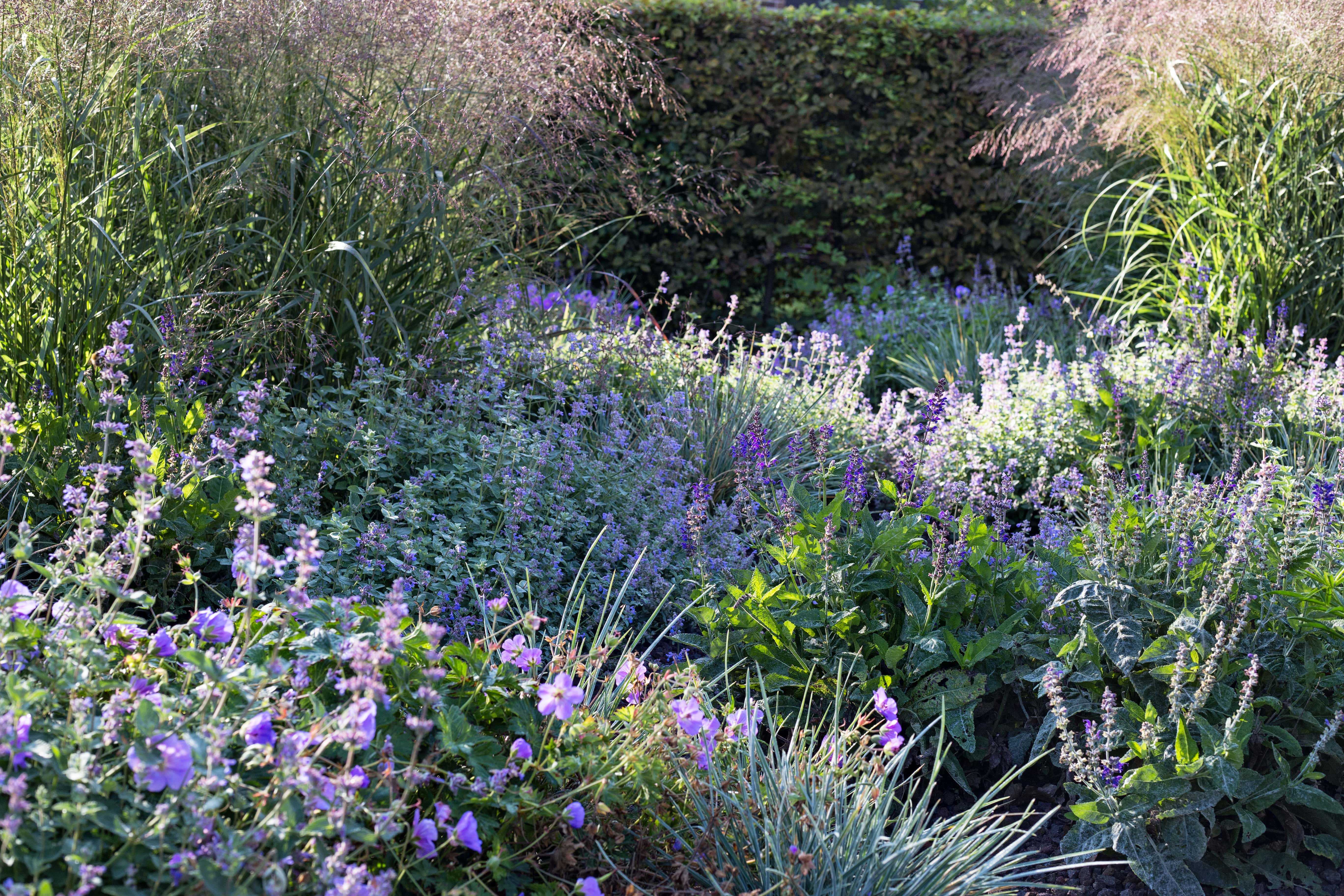 IMG 4580 peeters min