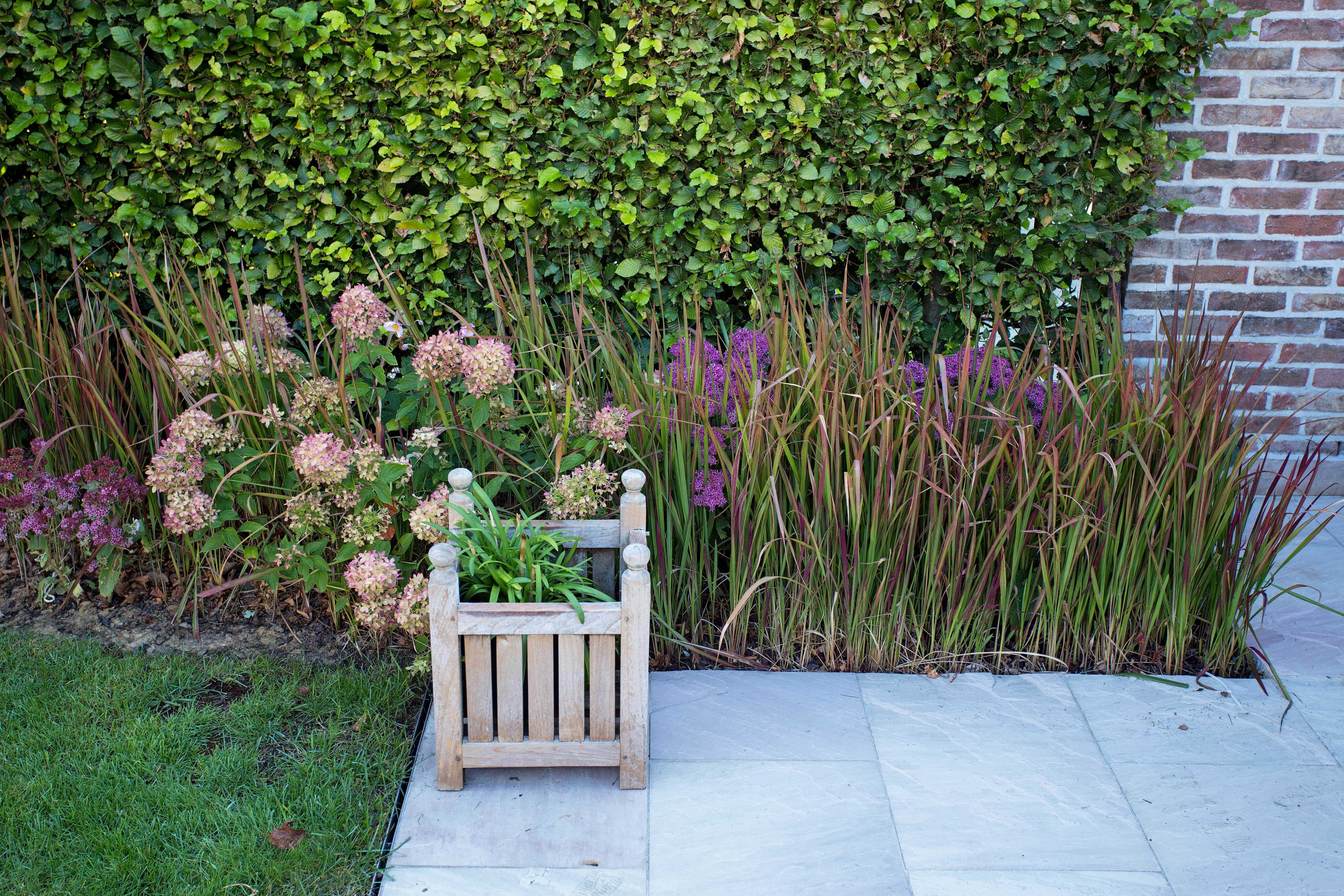 IMG 4621 peeters min 1