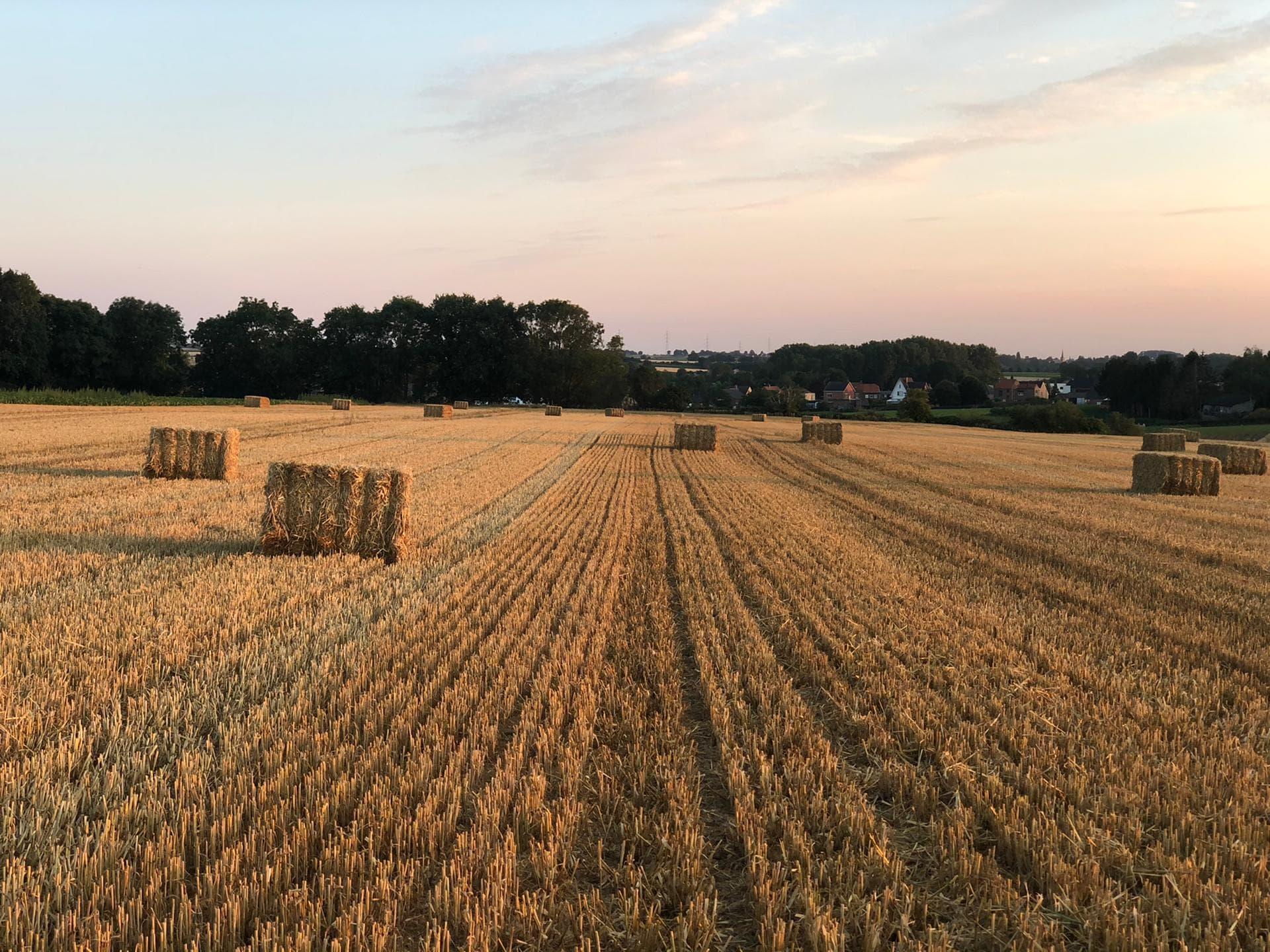 110179097 743107349798796 5680269408592994312 n