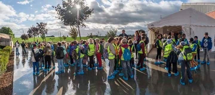 52930394 1149038365265787 2493506472726495232 n