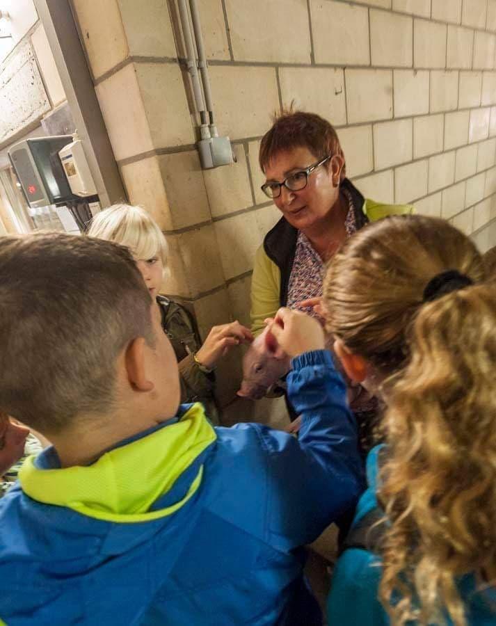 54268269 1995392334096050 7536638448711499776 n