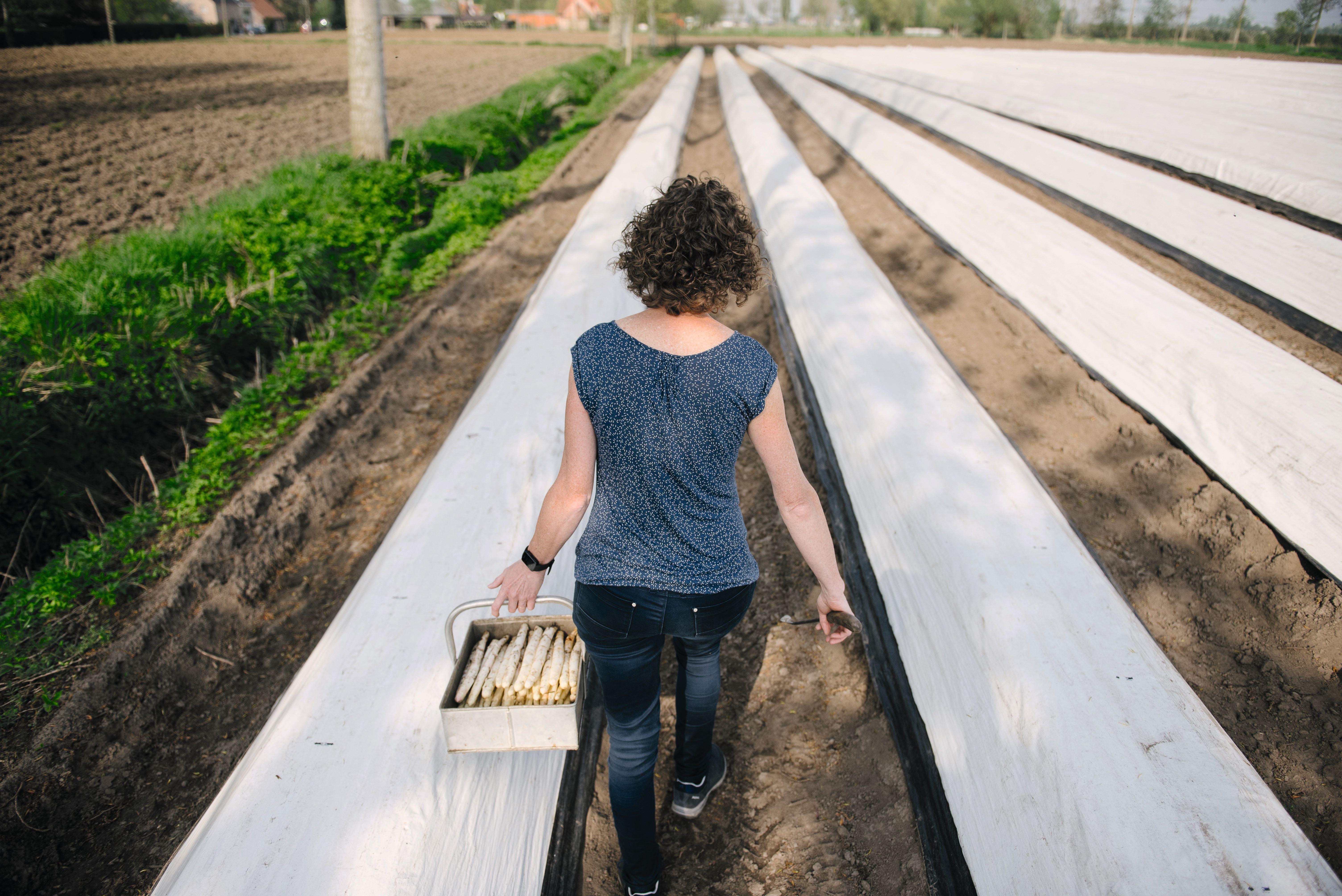 20180421 002 Wase Aperges nieuw
