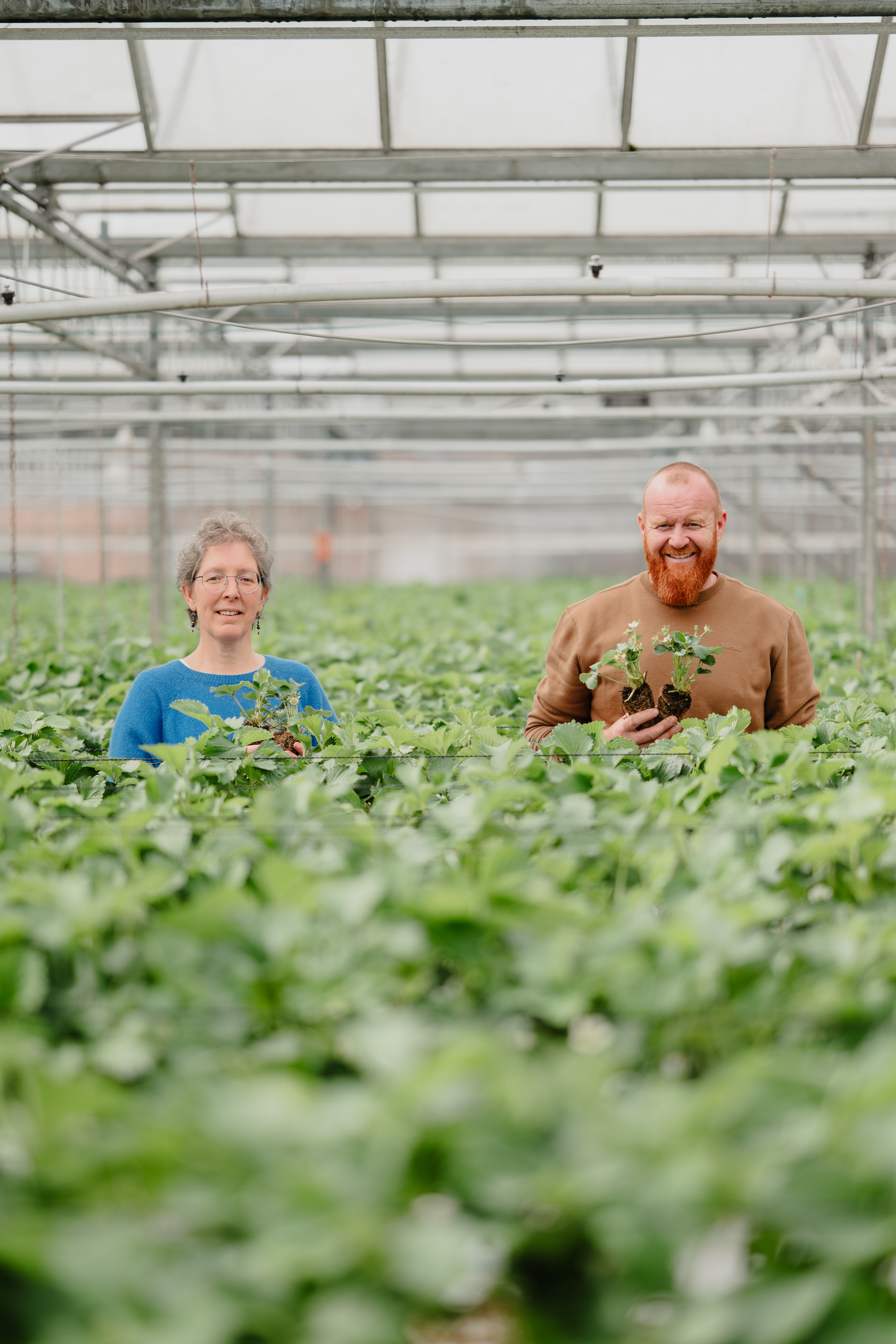 2025 03 28 t Grintehof hires 30