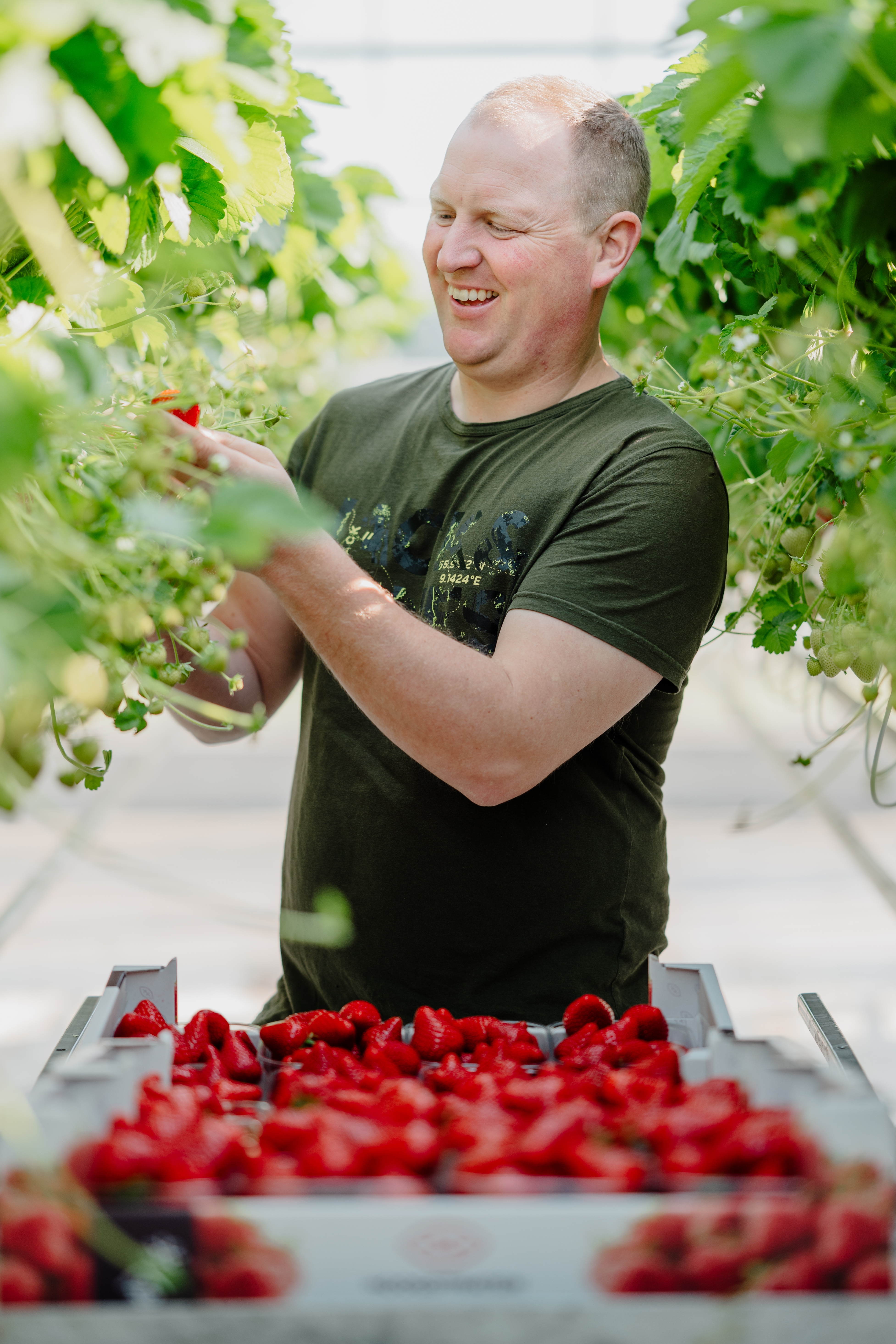 2025 04 05 Aardbeien Vervaet hires 2