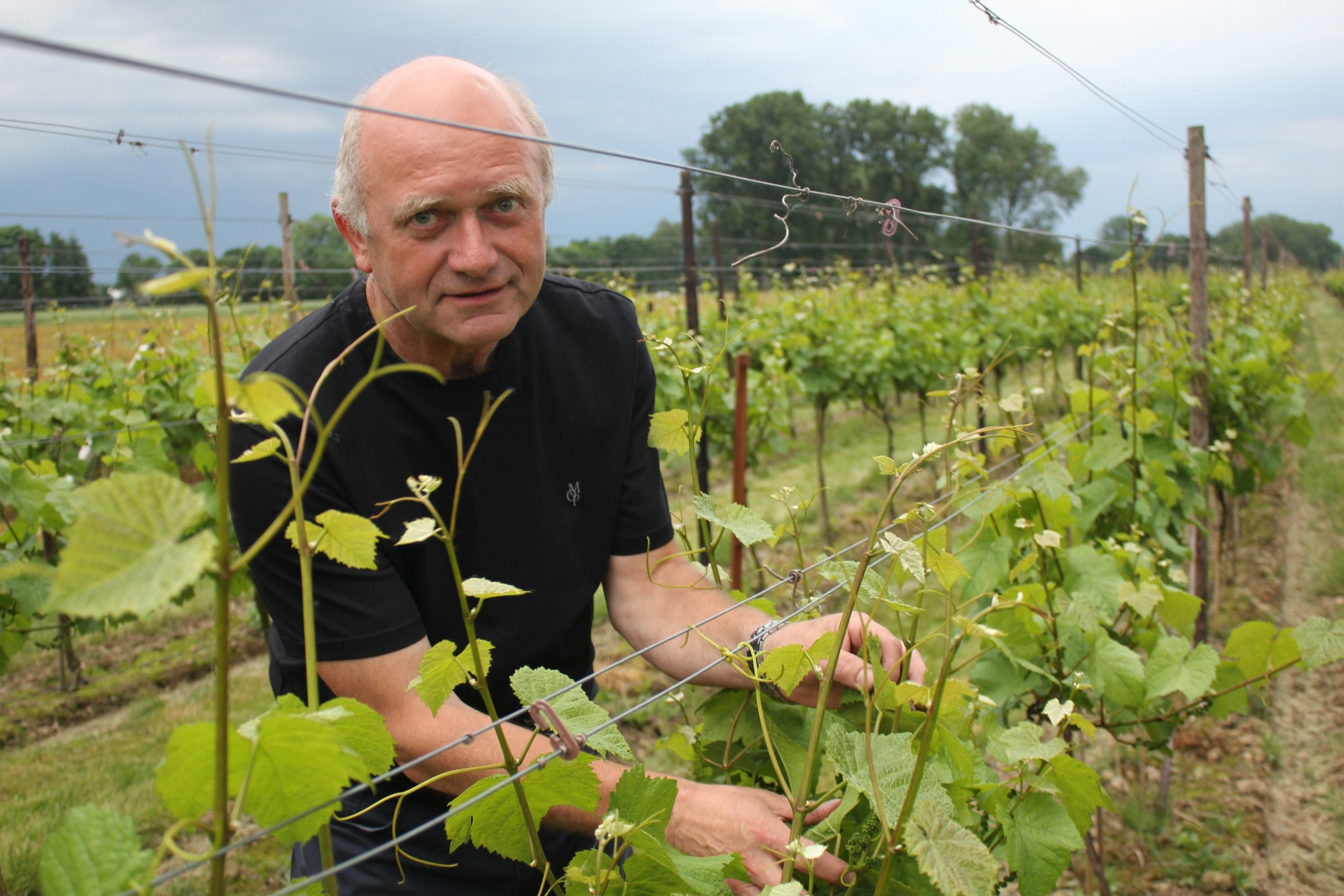 Andre ü Dierickx3 k