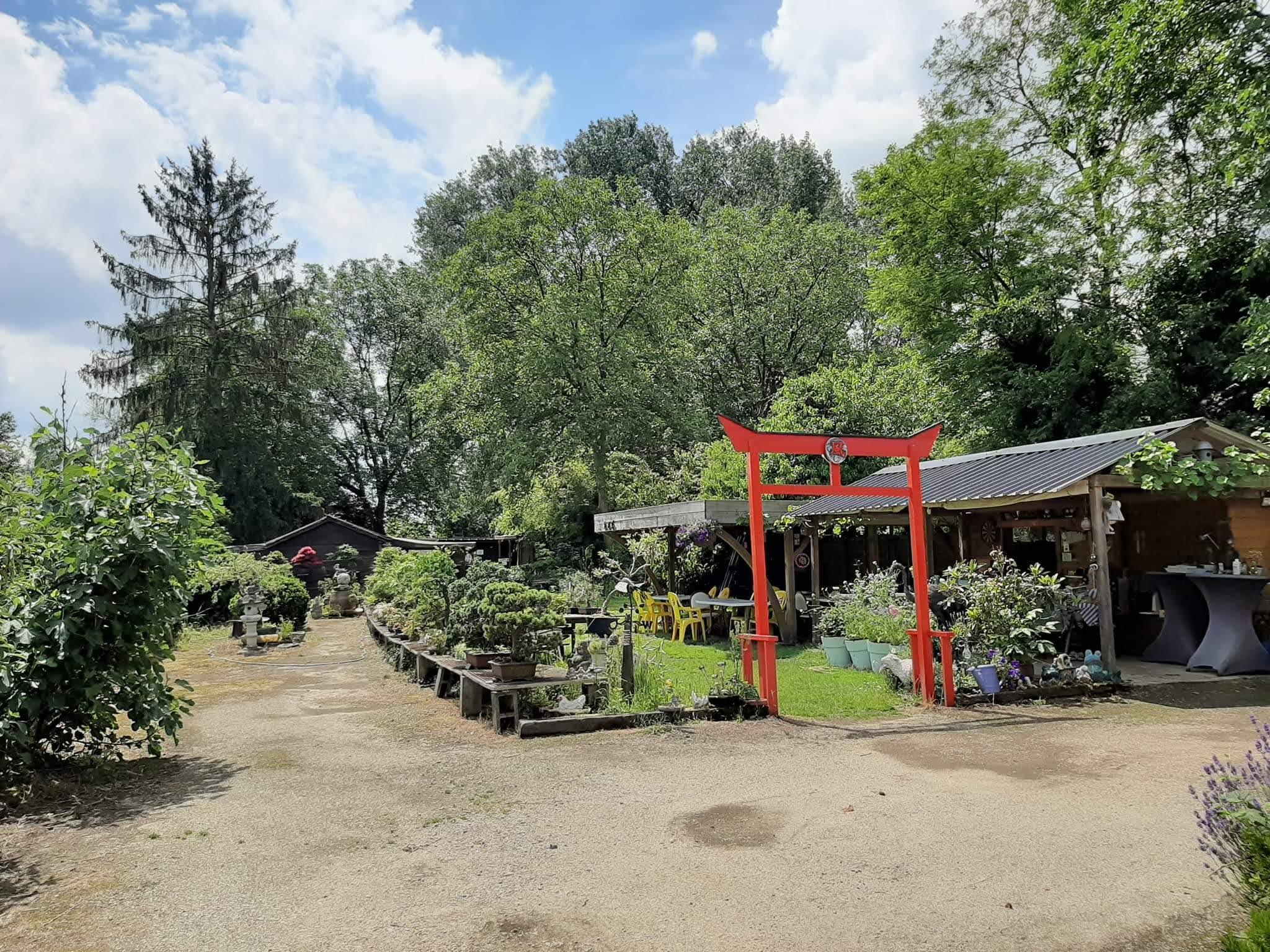 Bonsaiateljee te lage resolutie