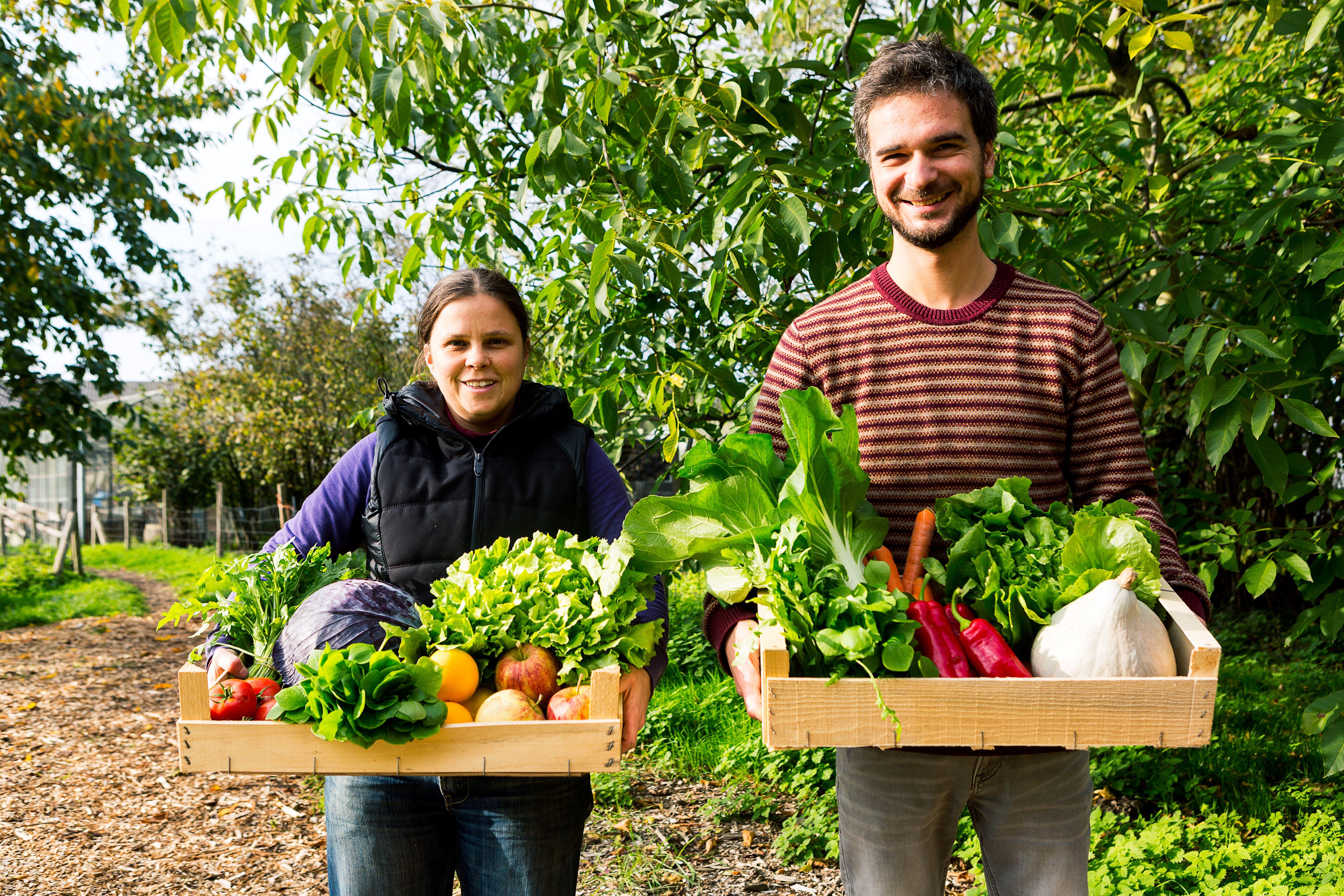 De Wassende Maan nieuw