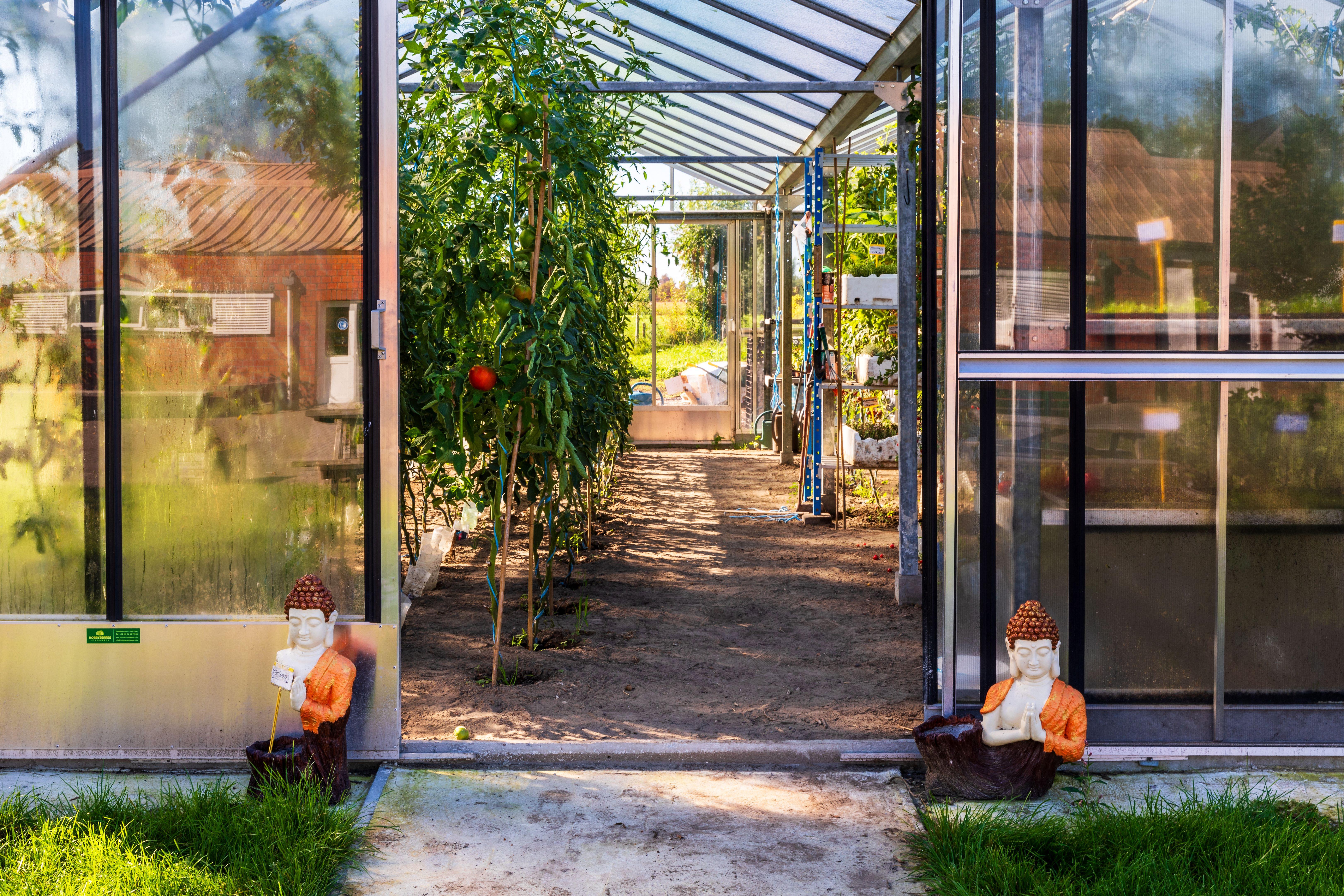 De Witte Hoeve 3 AC De Witte Hoeve nieuw