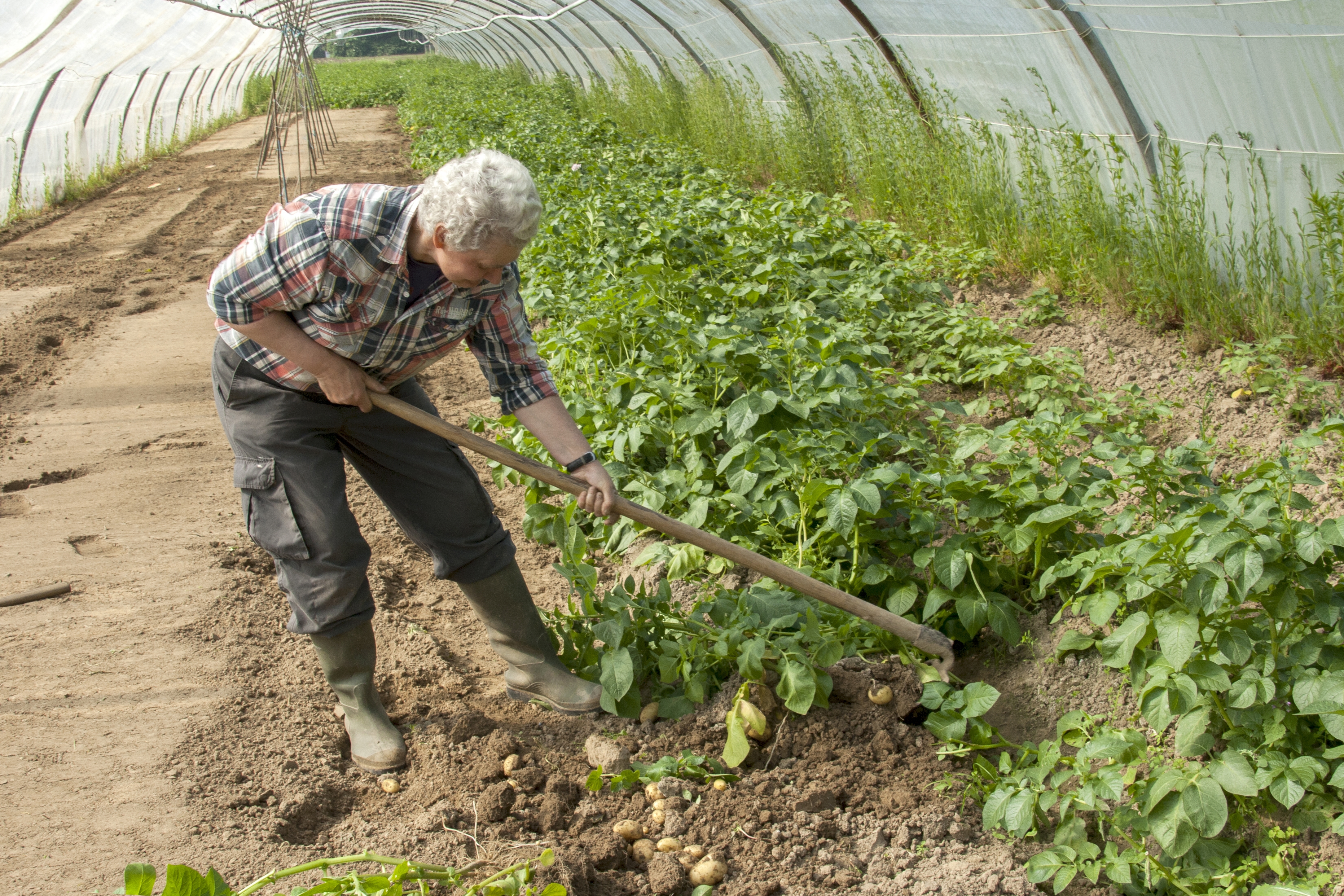 Jean Pierre en Mia Meert 3 k