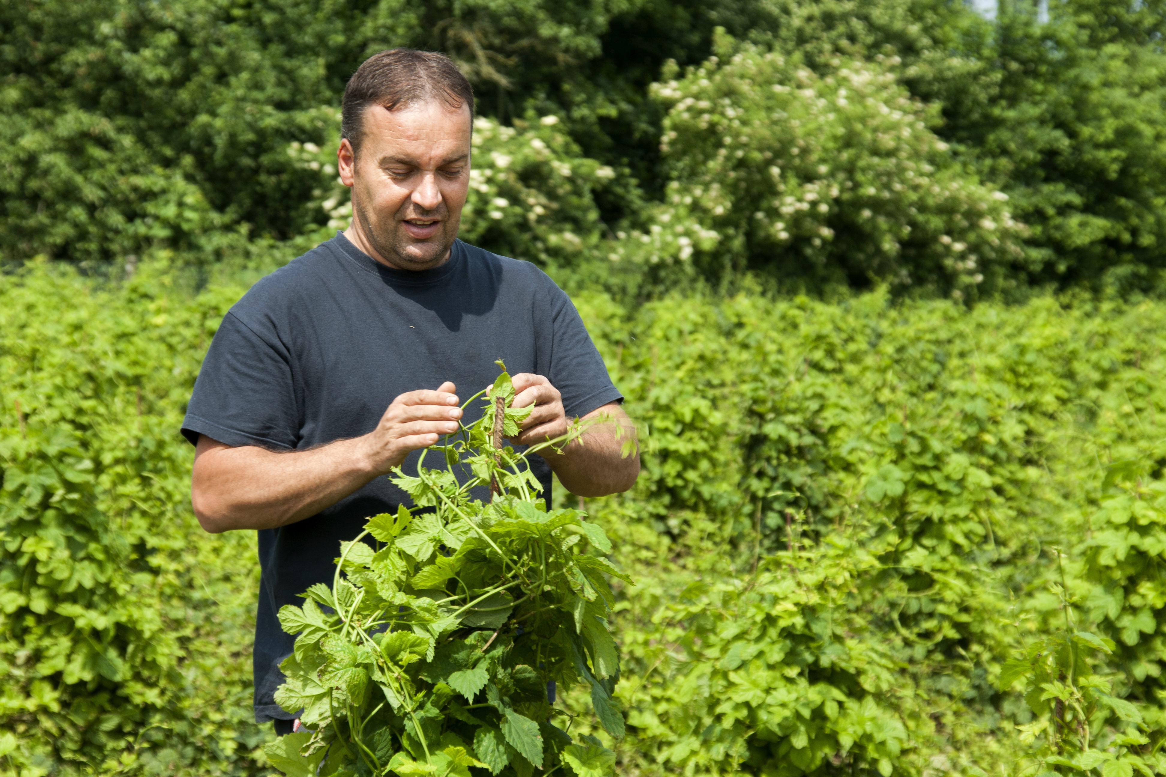 Luc Van Langenhove 3 k