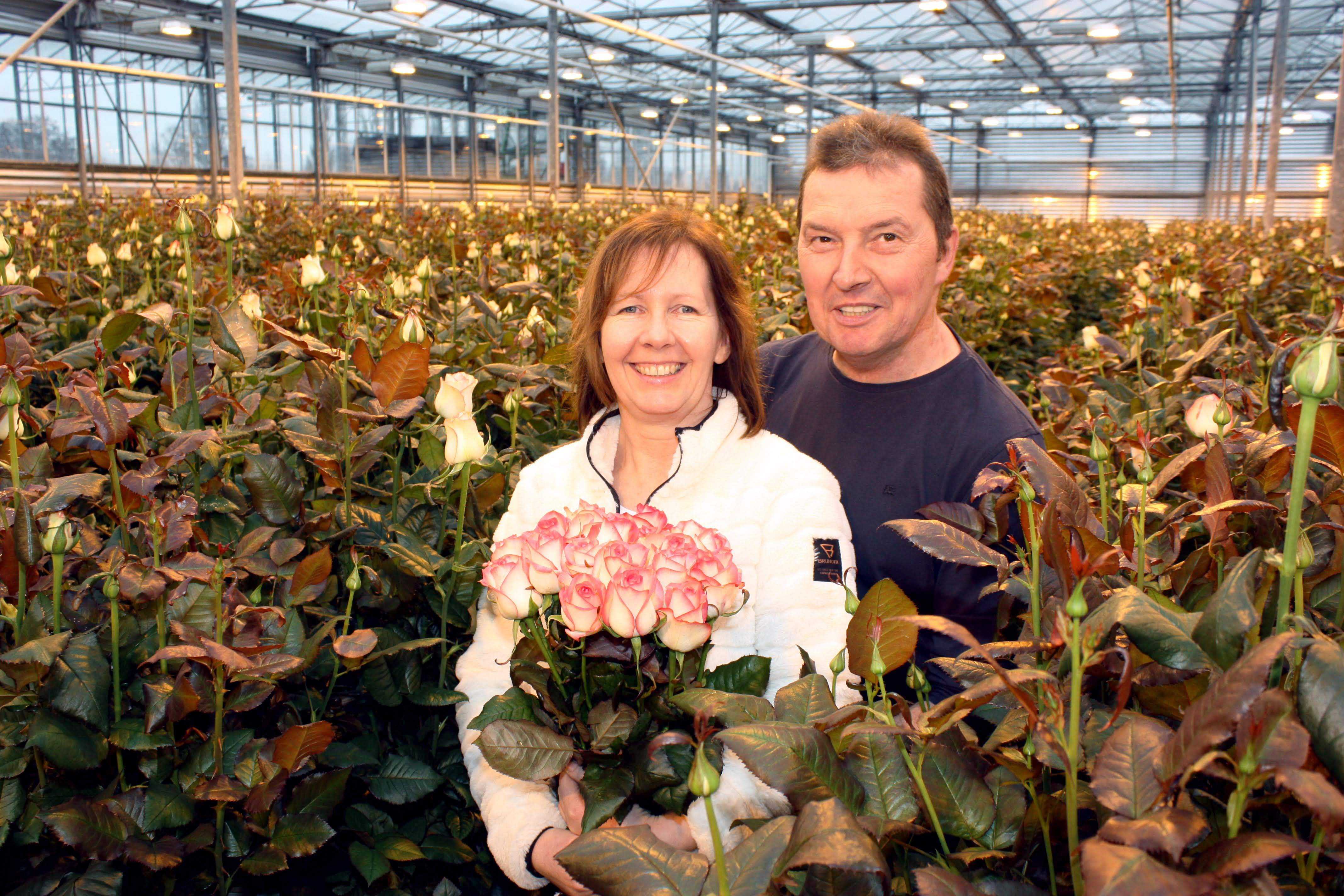 Rozen Van Biesen aangepast