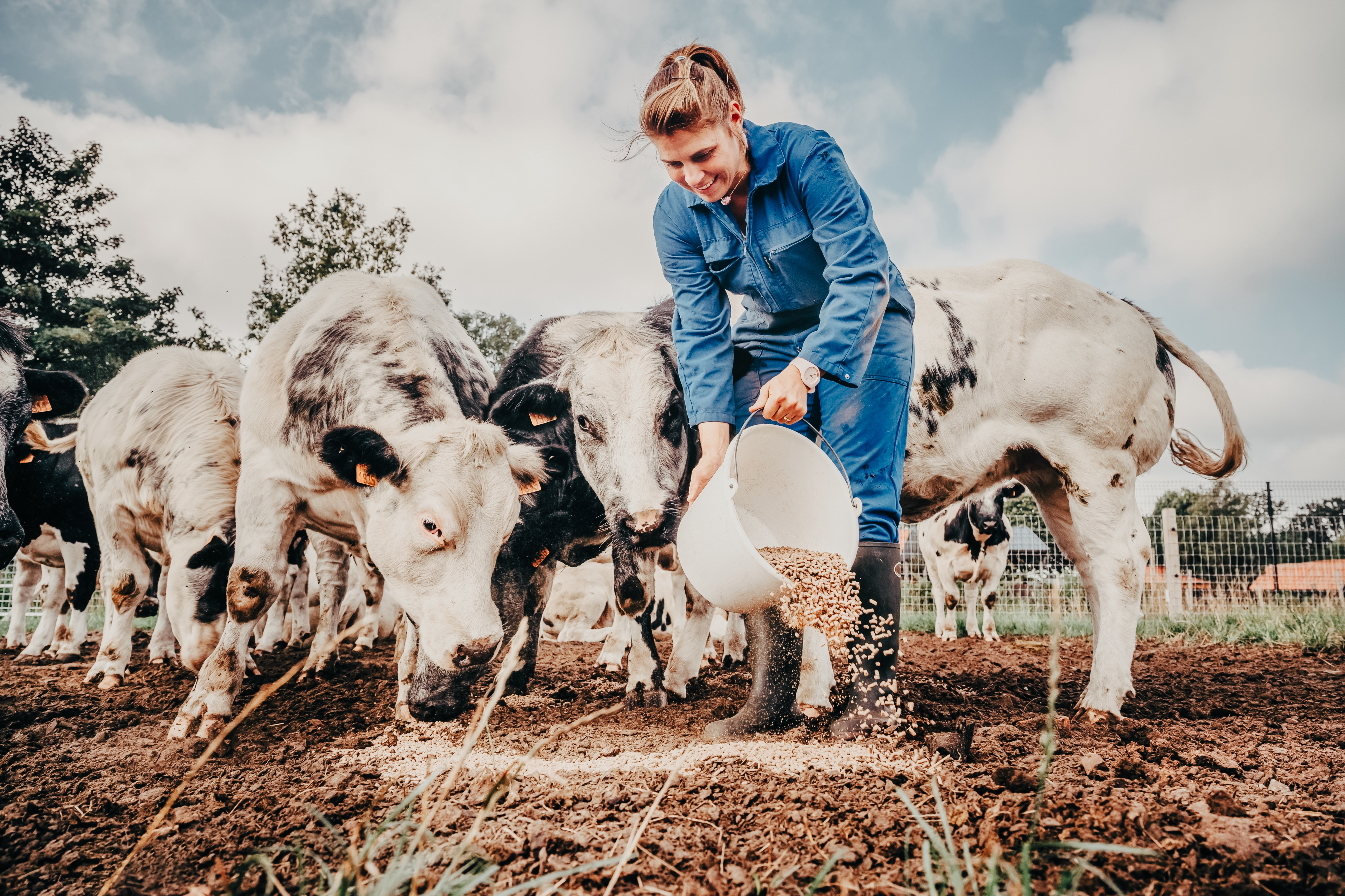 Vleeshandel Van Loo Den Brandt hires 5