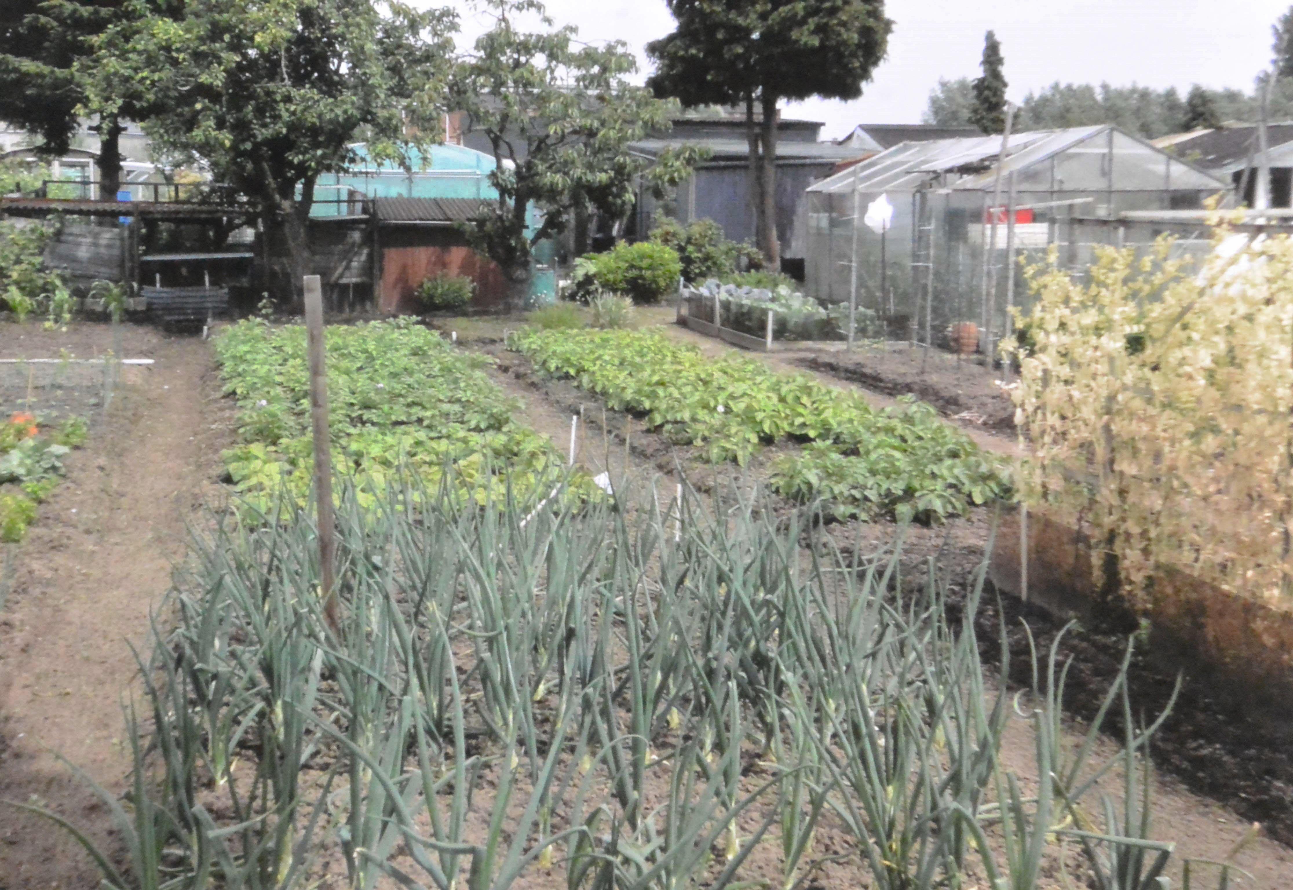 Volkstuin Lindenstraat nieuw