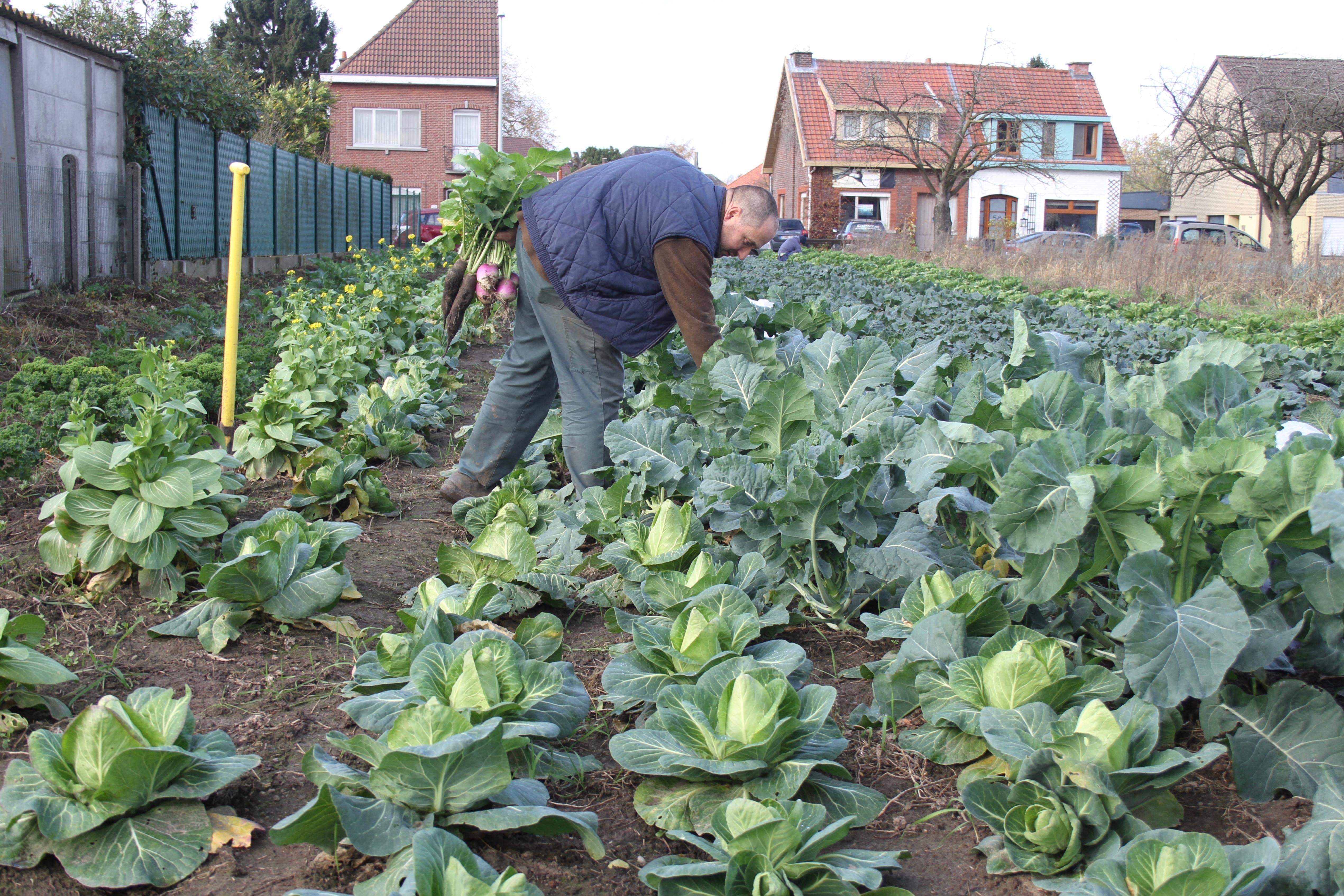 Boer dirk 2 37881249224 o