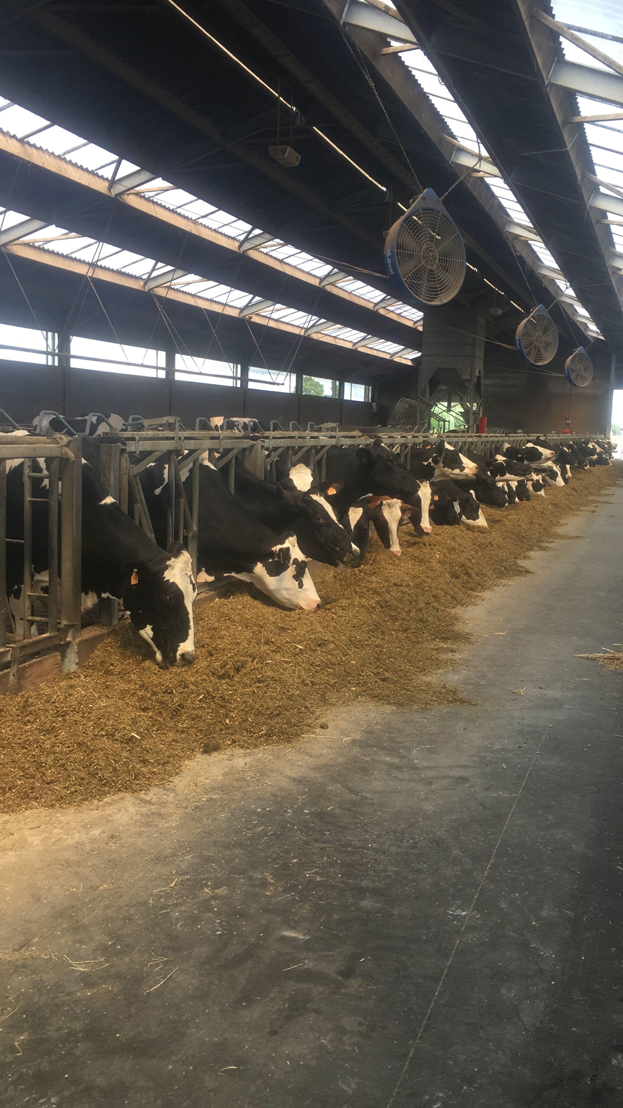 Hoeve van der meersch nieuw