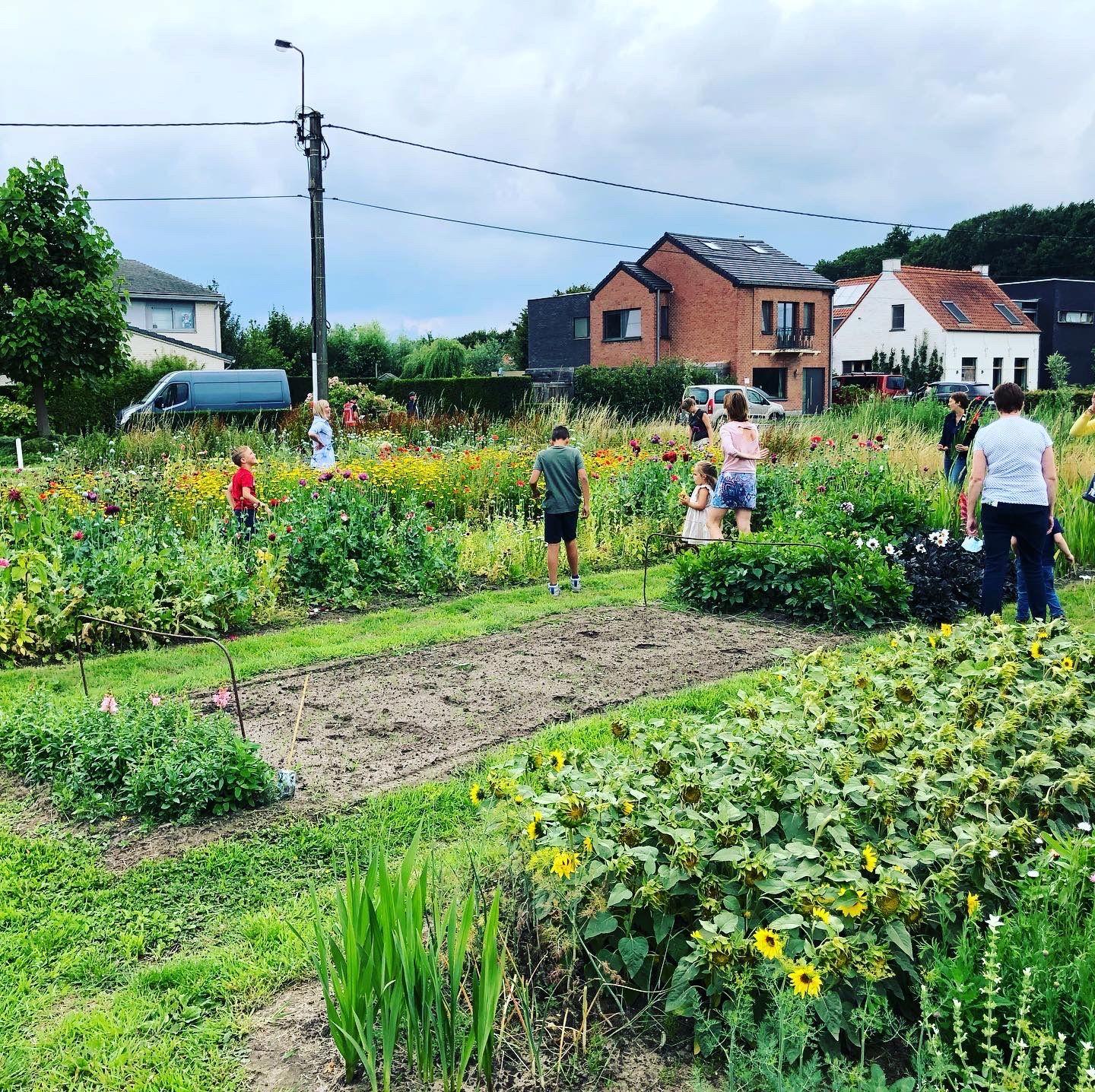 Tuincentrum braeckman nieuw