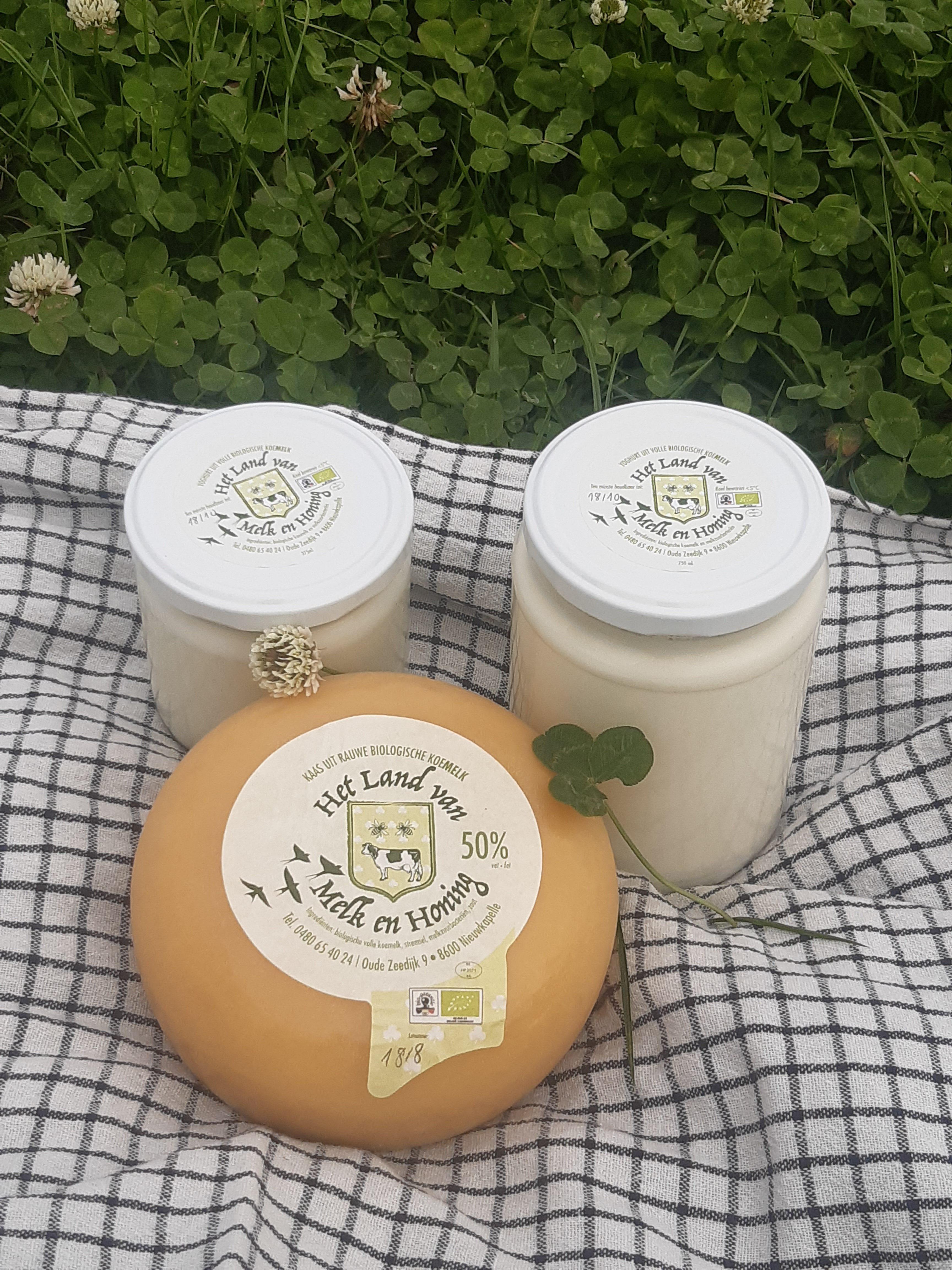 kaas en yoghurt in klavers164830