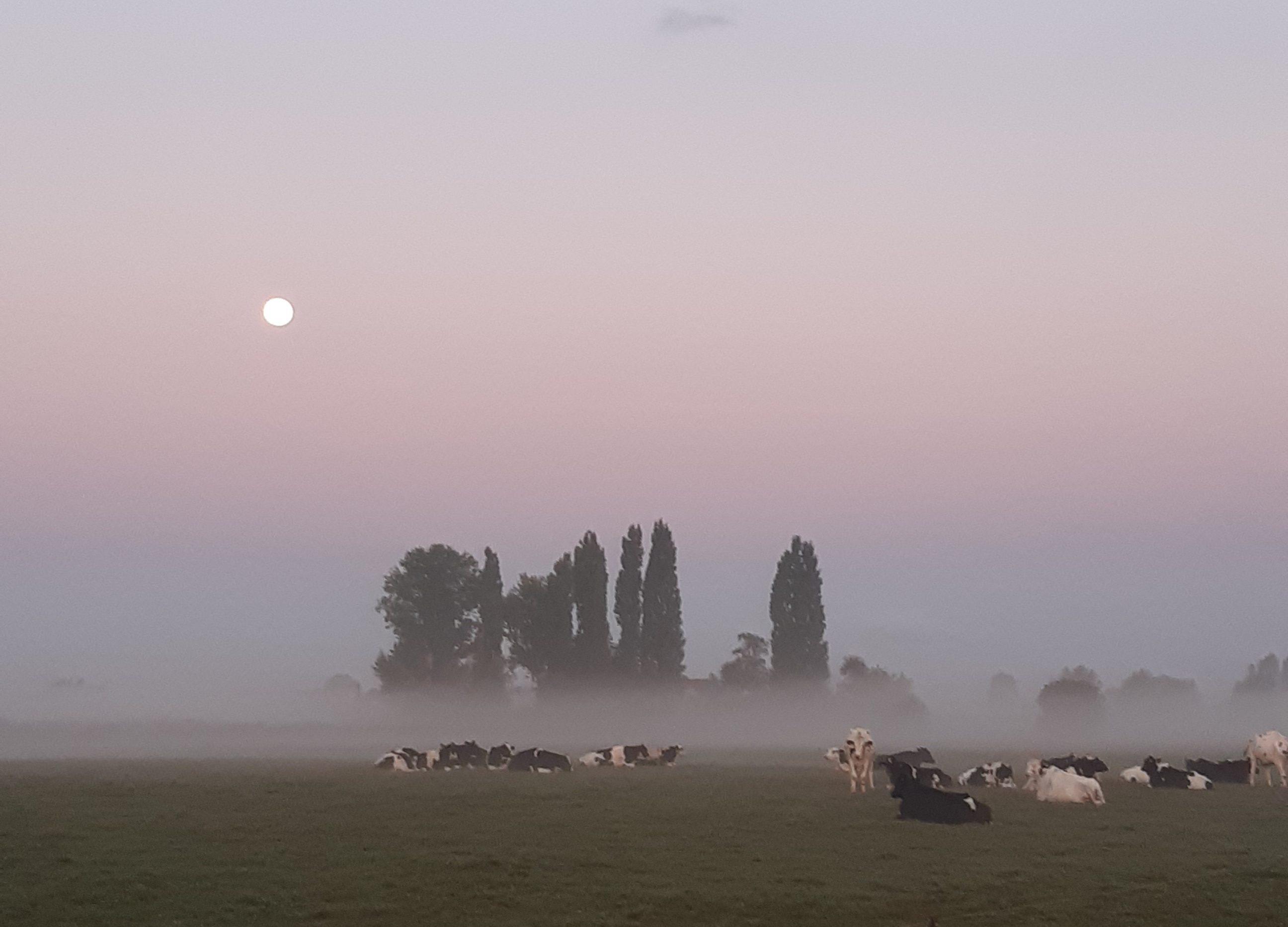 20220911 071011 2022 12 09 100008 pkdr