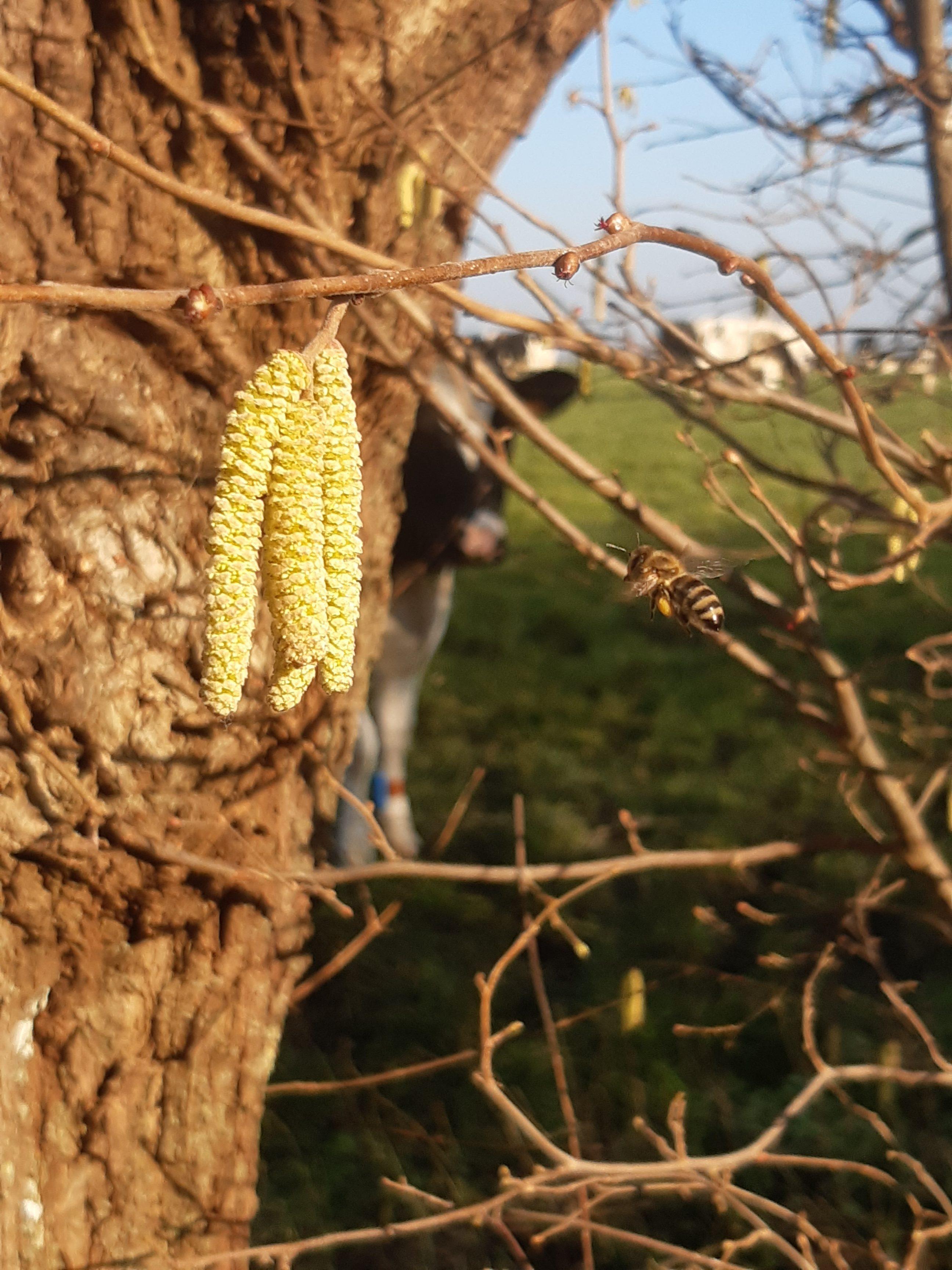 20230214 bij op hazelaar