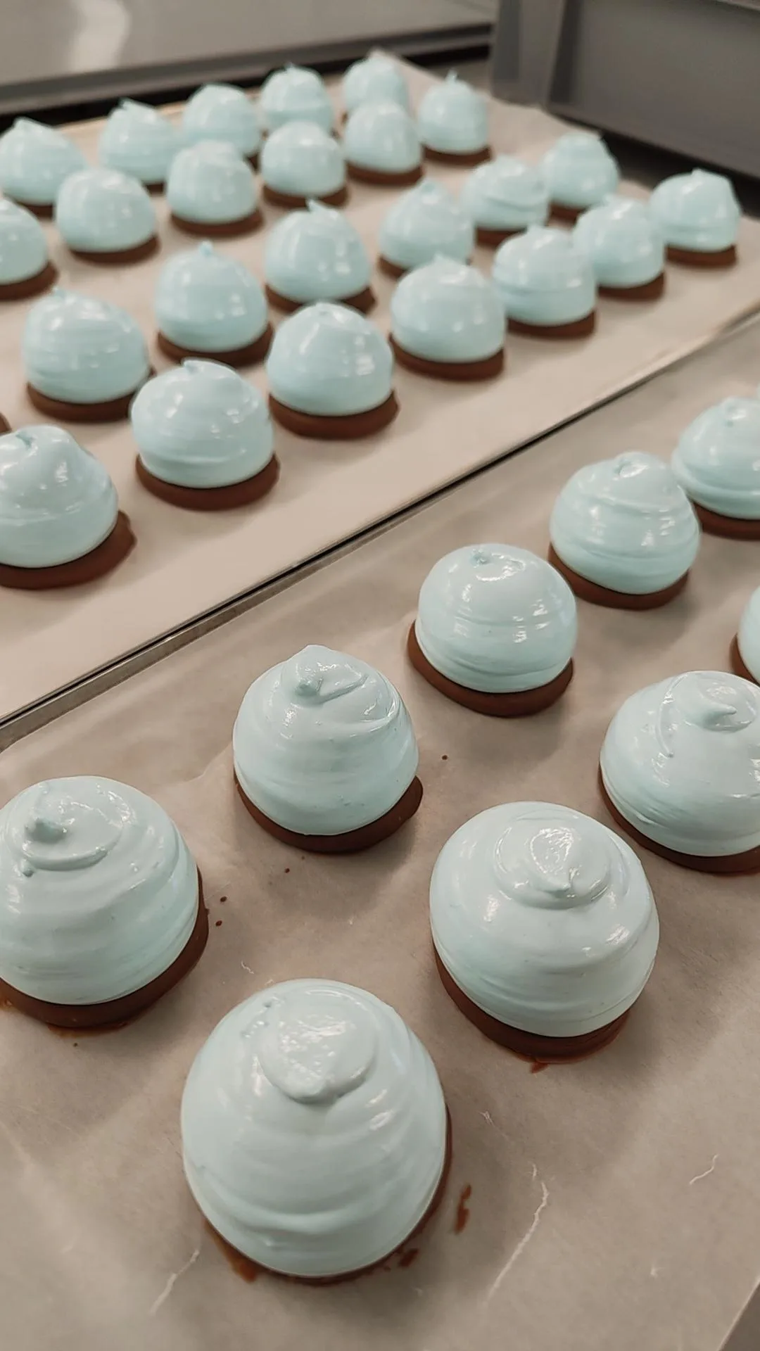 IMG 20260108 153631 672