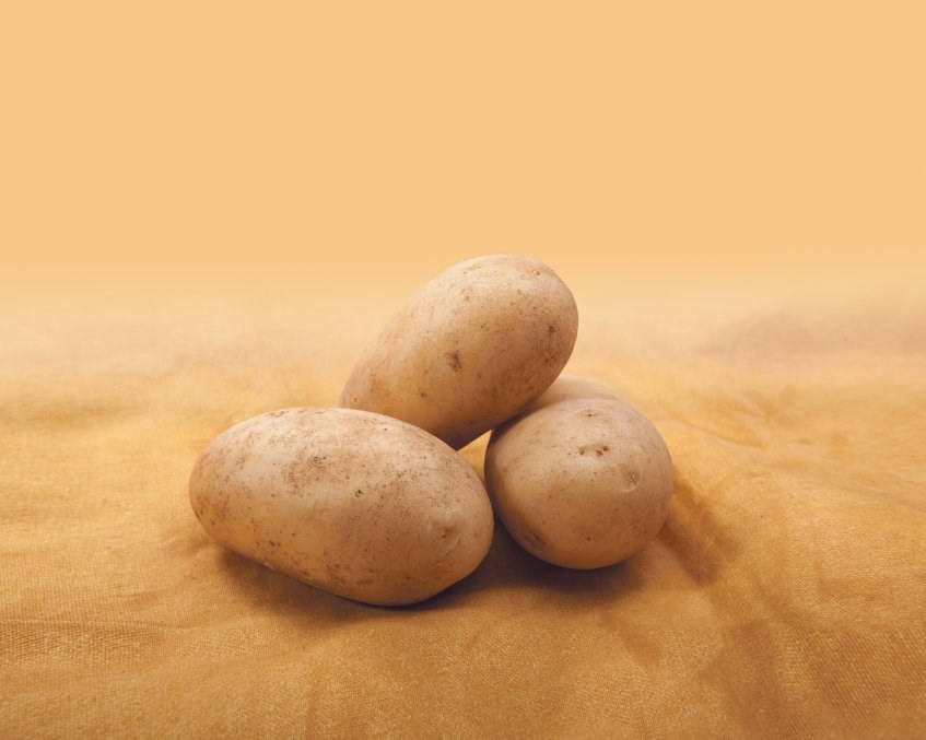 Lady anna bergje 847x0