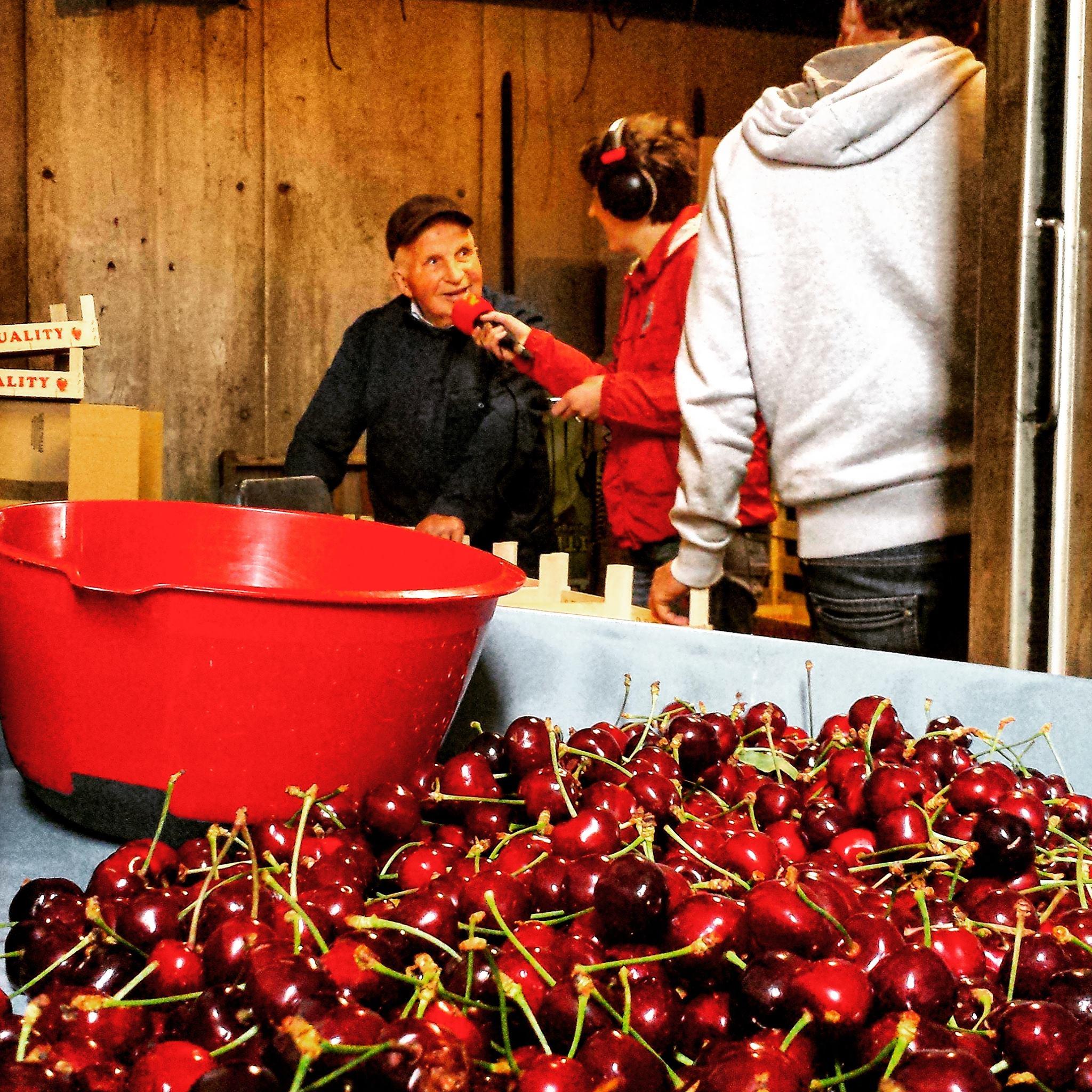 10498118 1022219277797322 4799705539449734547 o