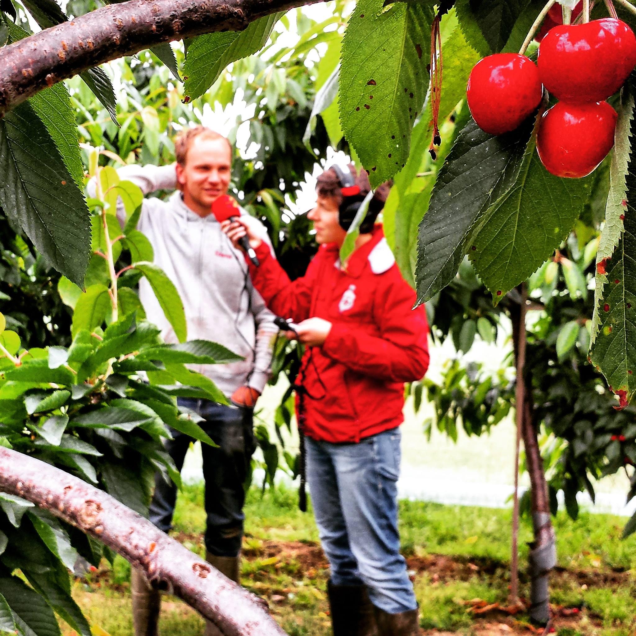 11136271 1022219257797324 706158808178090286 o