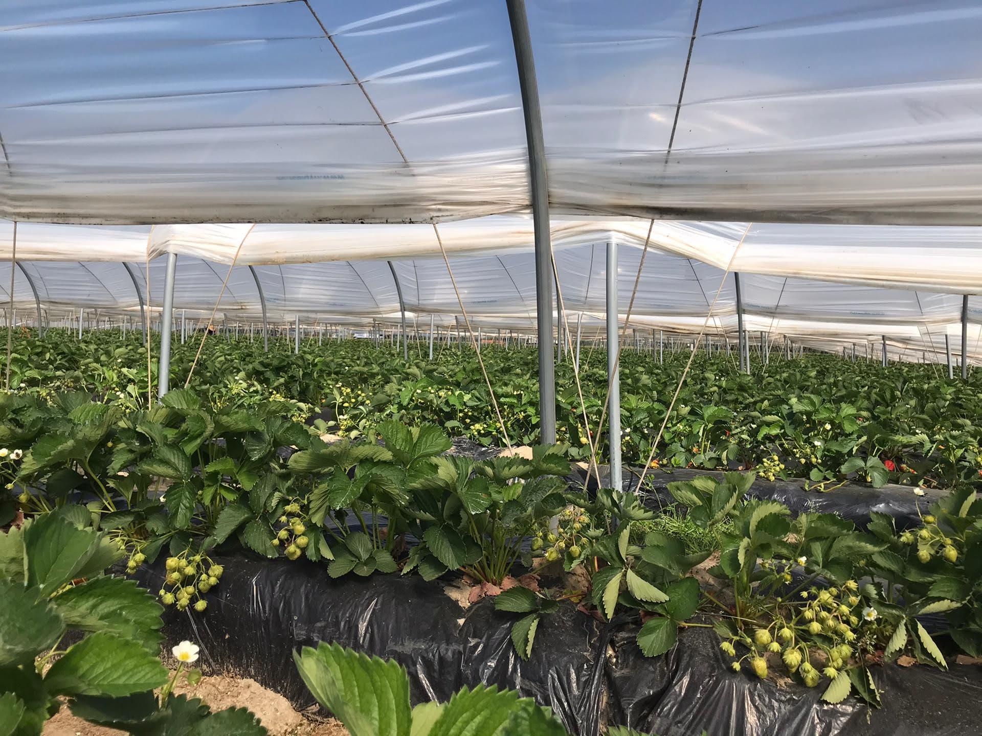 3dd60f93 1eaf 44af aee4 1ad3a2bf6b97