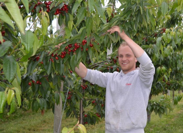 7cbdc34c 1fcf 45cd 9a86 c185a2f6064f original