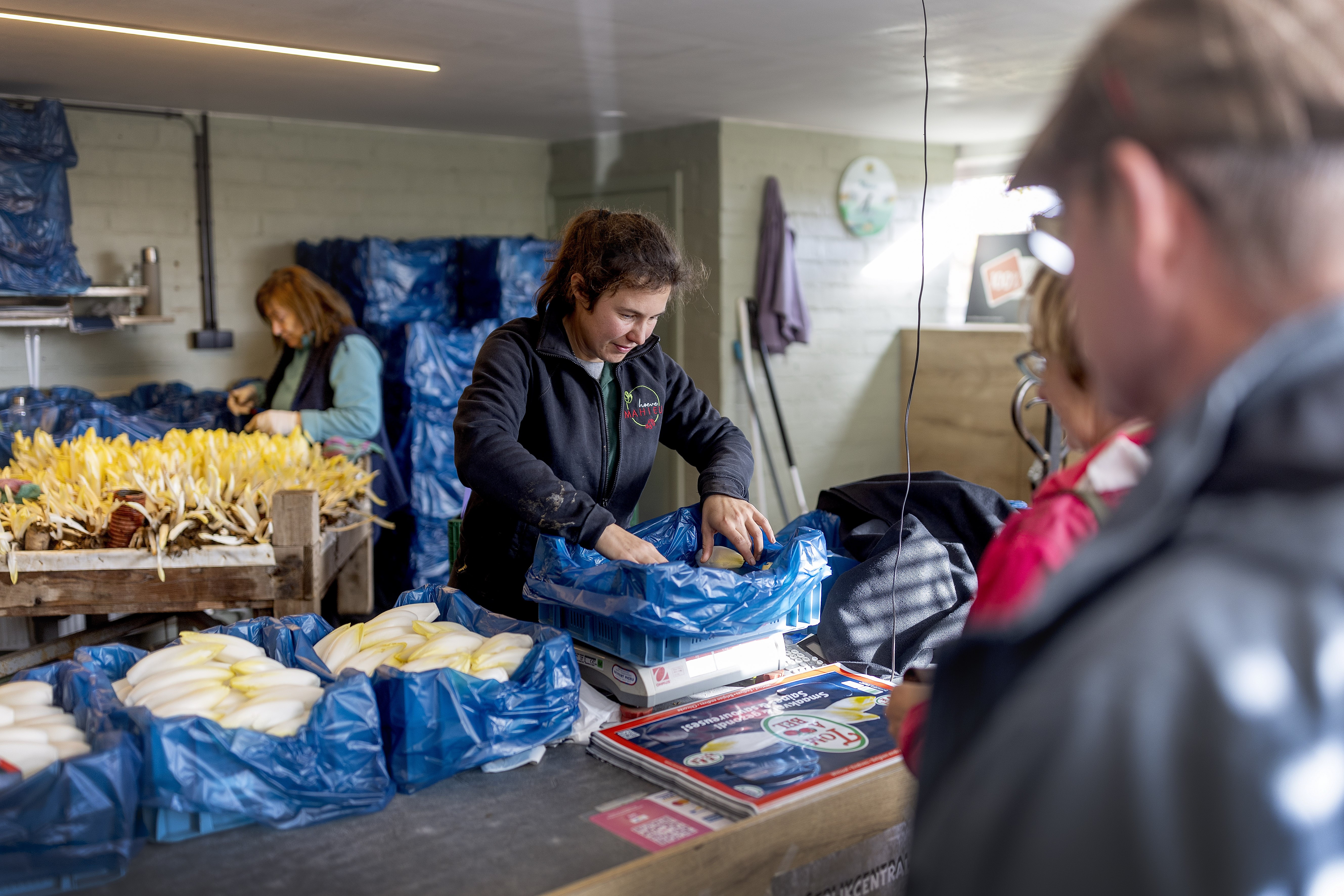 Hoeve Mahieu Nov 2023 17