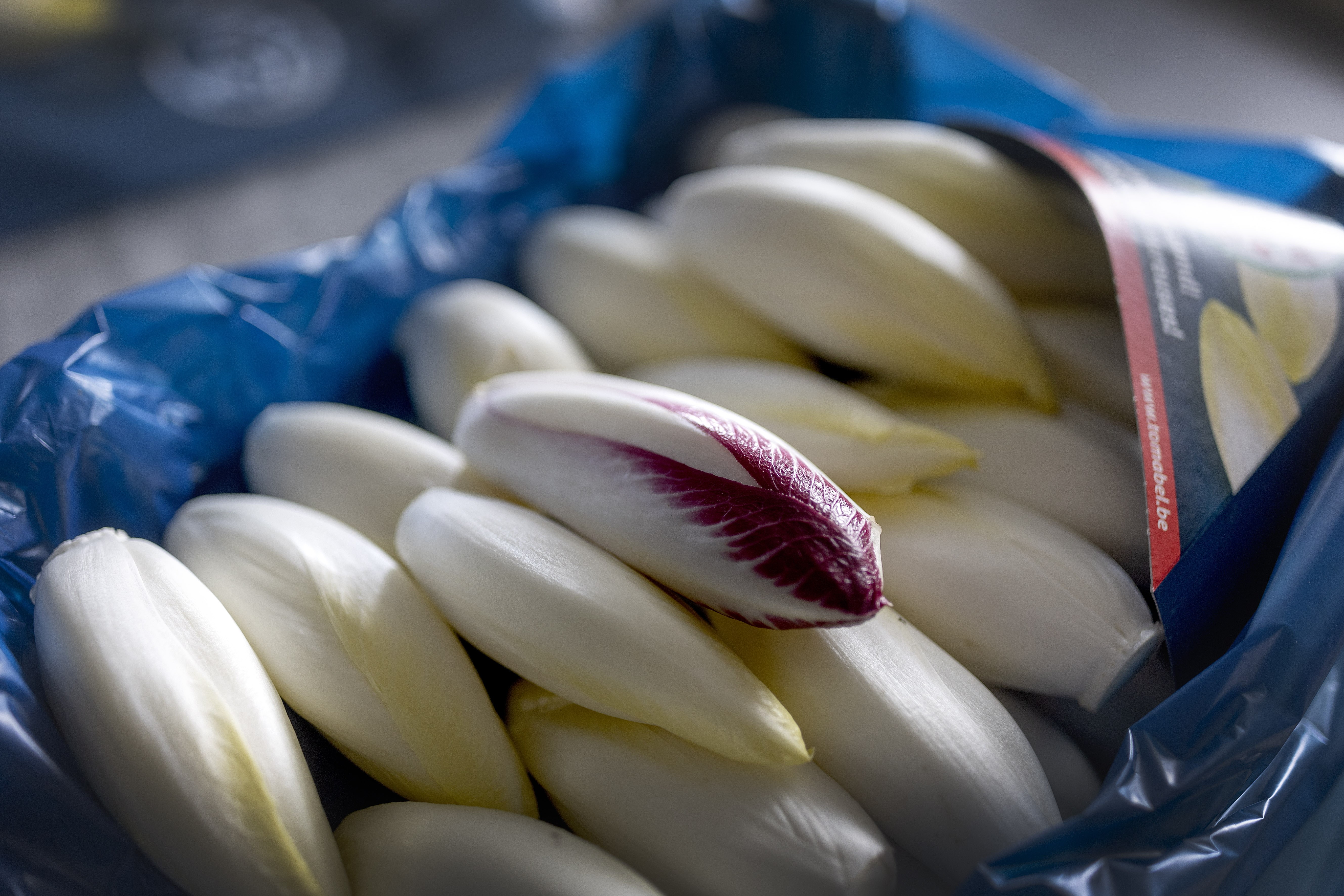 Hoeve Mahieu Nov 2023 19