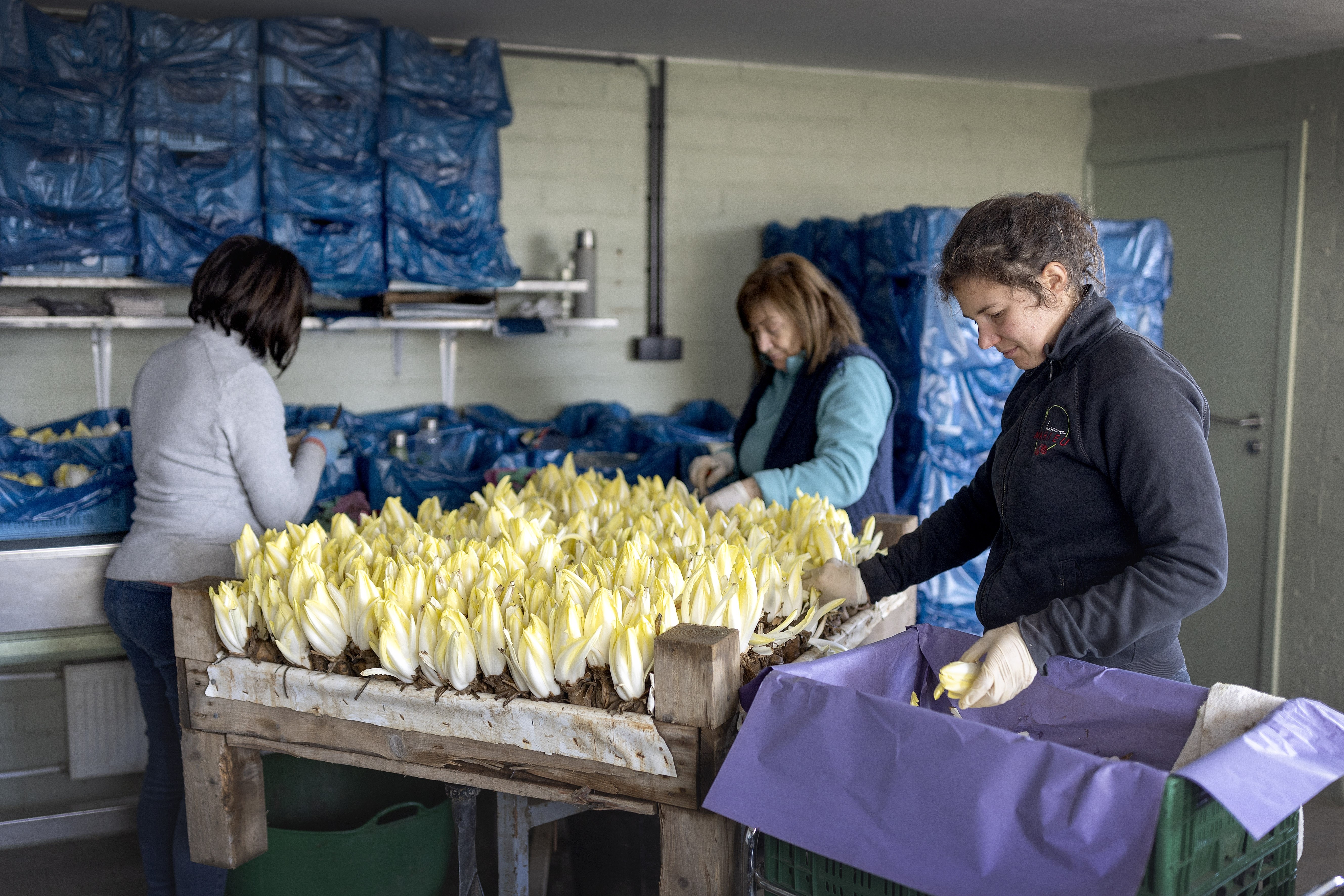 Hoeve Mahieu Nov 2023 4