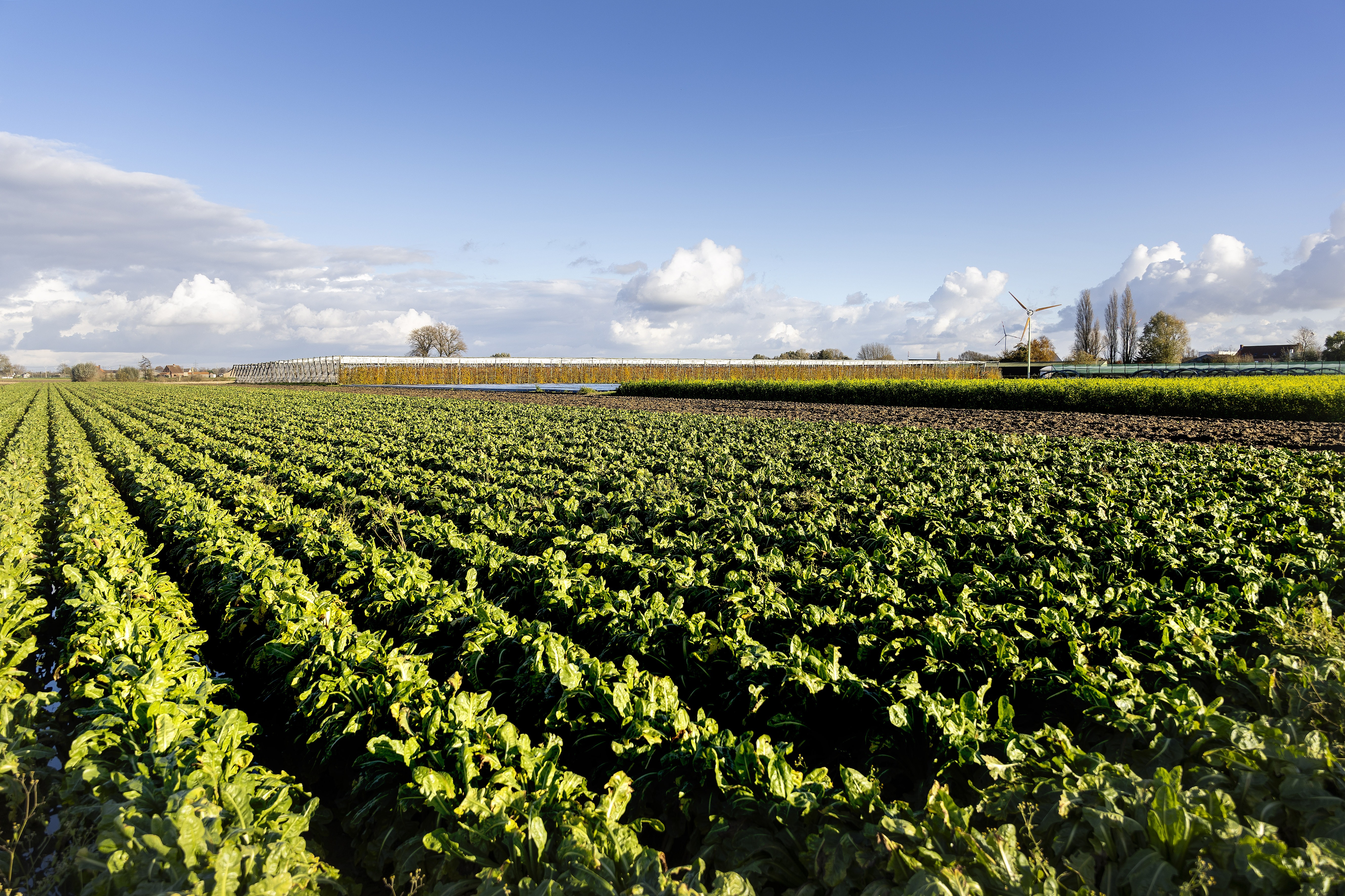 Hoeve Mahieu Nov 2023 54
