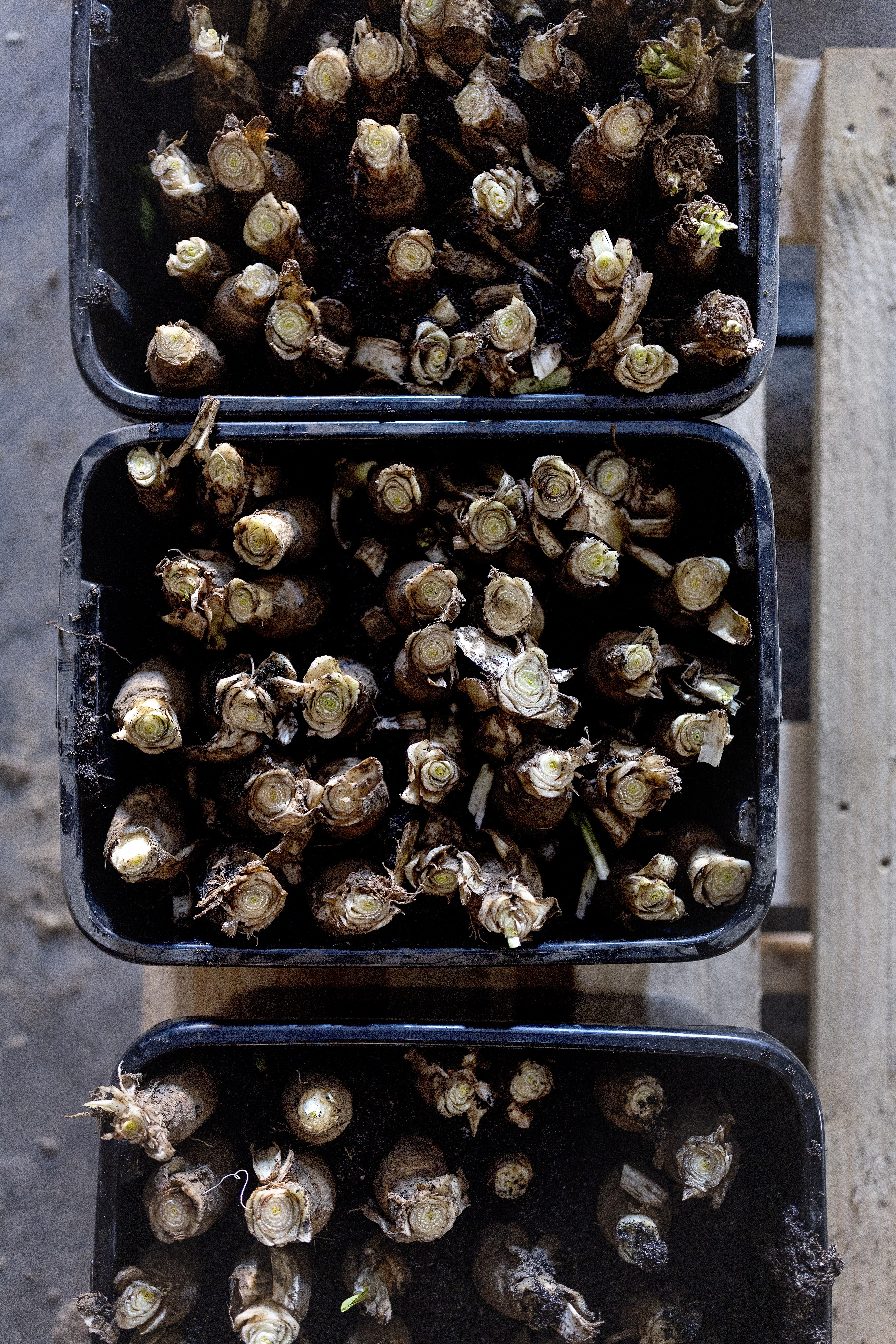 Hoeve Mahieu Nov 2023 63