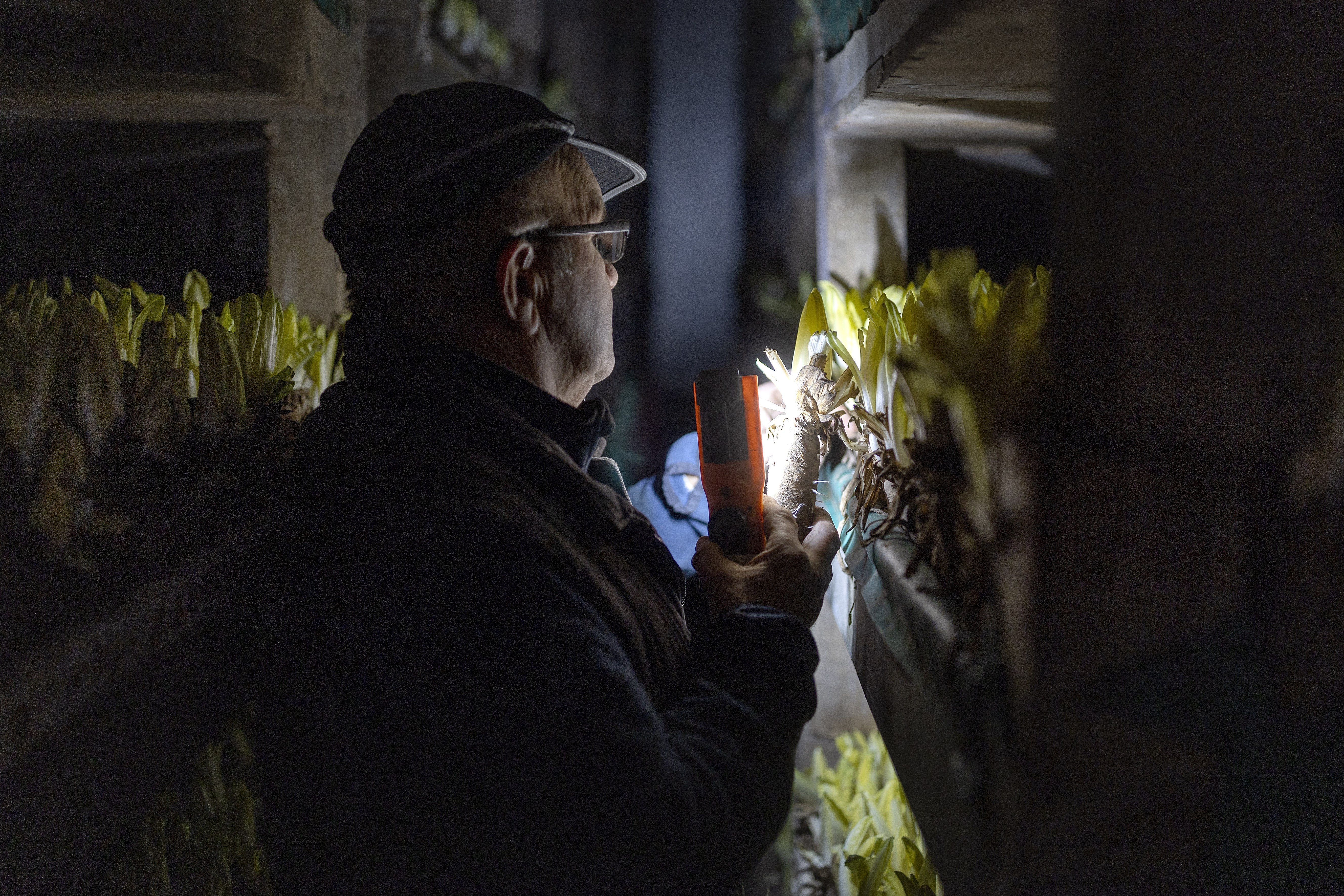 Hoeve Mahieu Nov 2023 67