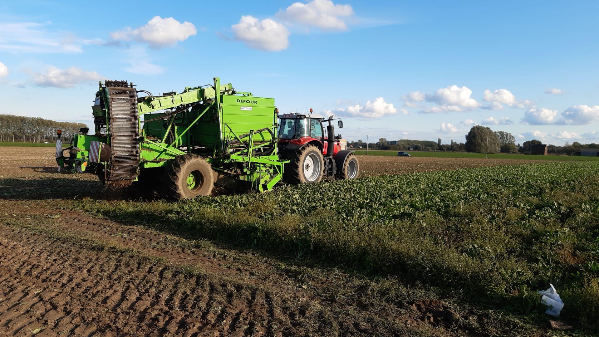 IMG 20201009 WA000319422