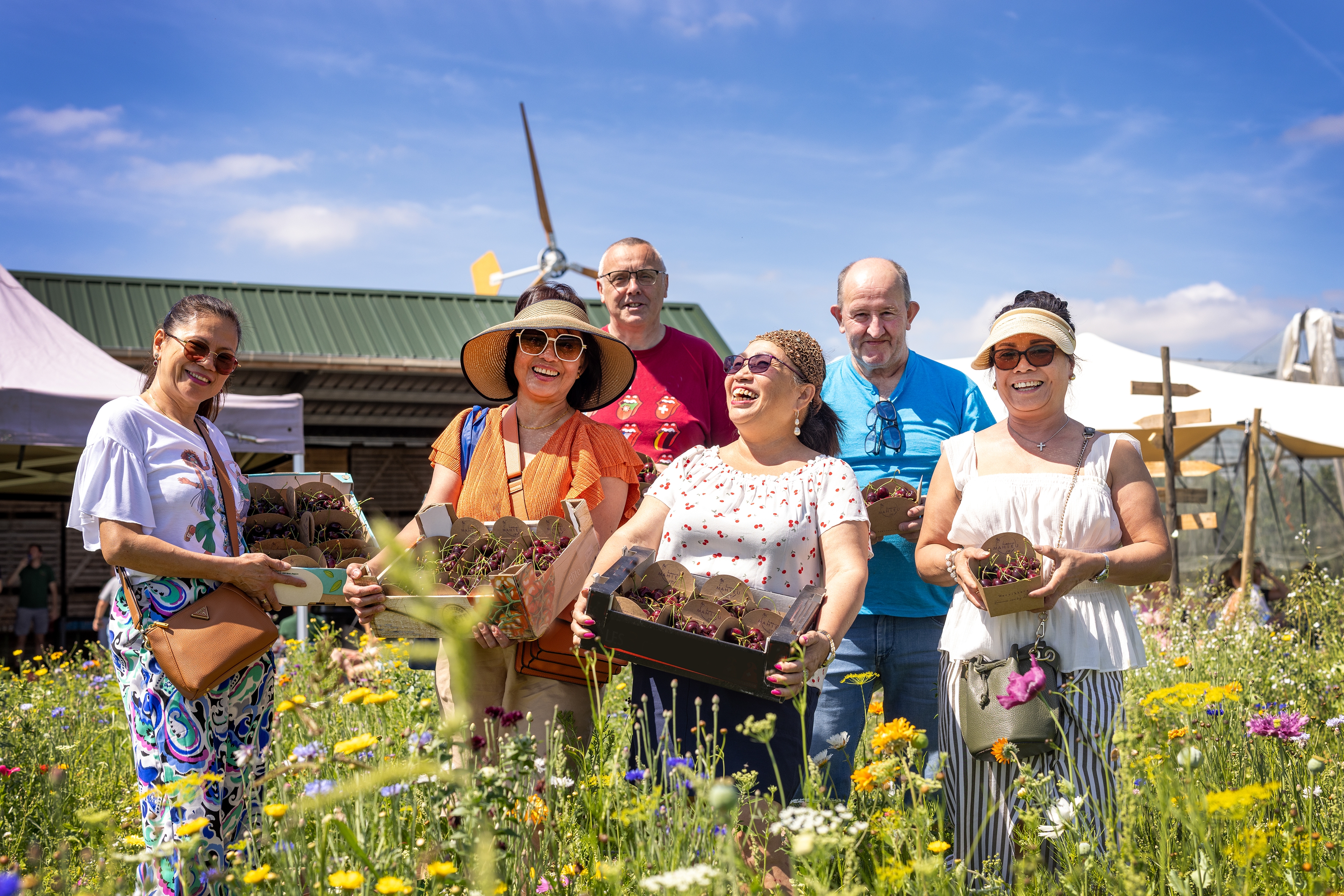 KERSENPLUK HOEVE MATHIEU 100 W VLAAMS 2025 Ateljé D Jan D Hondt 1 G3 A5645