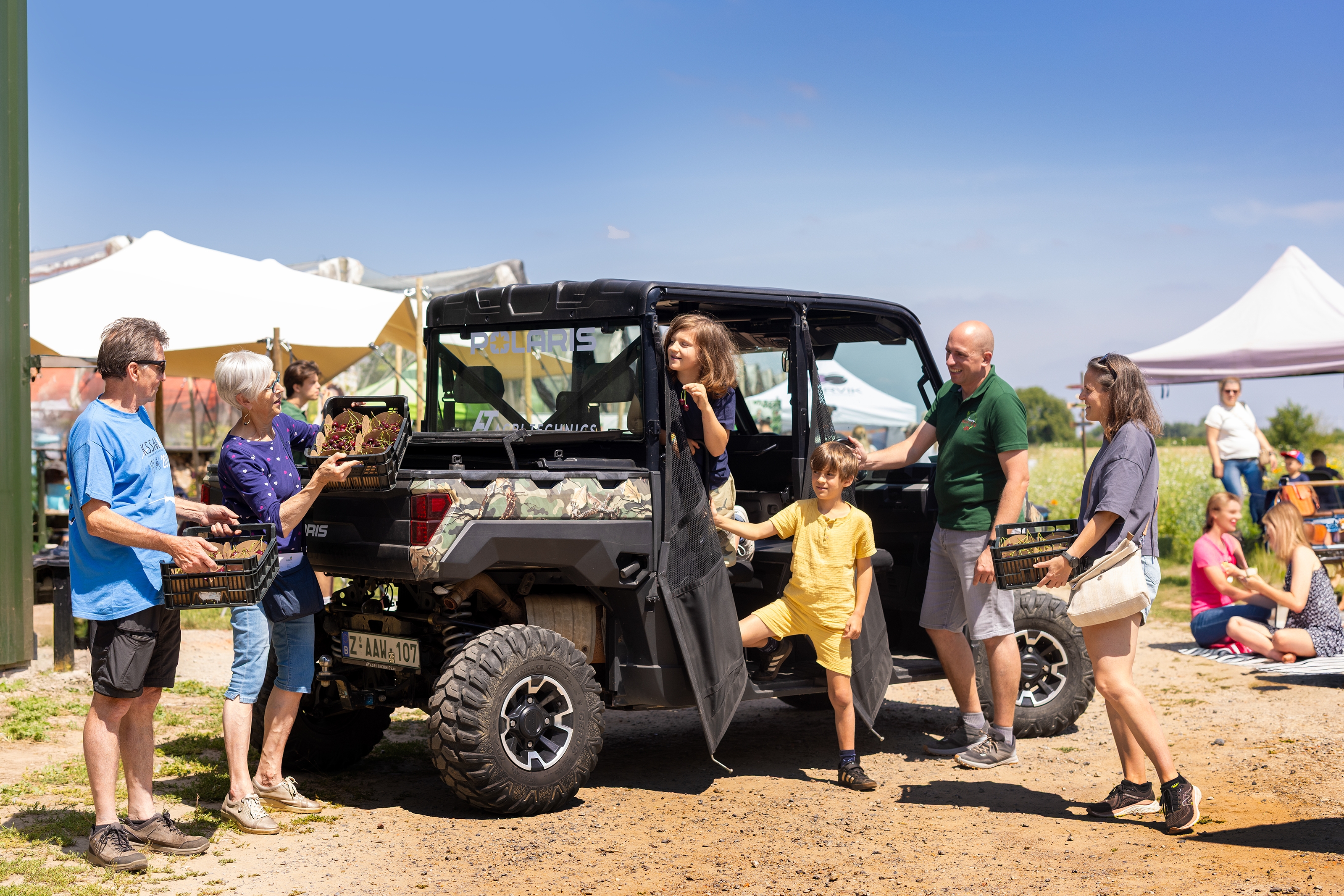 KERSENPLUK HOEVE MATHIEU 100 W VLAAMS 2025 Ateljé D Jan D Hondt 1 G3 A5756