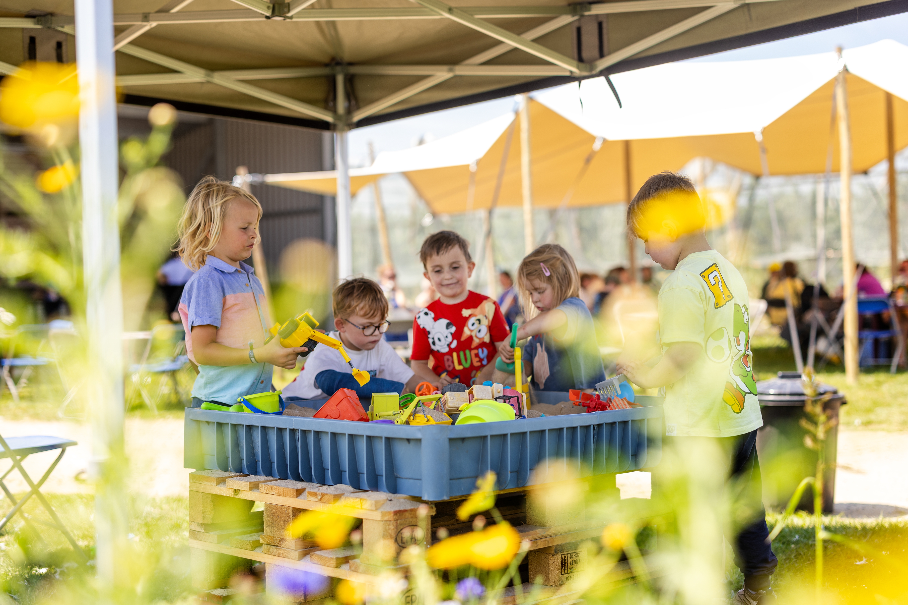 KERSENPLUK HOEVE MATHIEU 100 W VLAAMS 2025 Ateljé D Jan D Hondt 1 G3 A5949