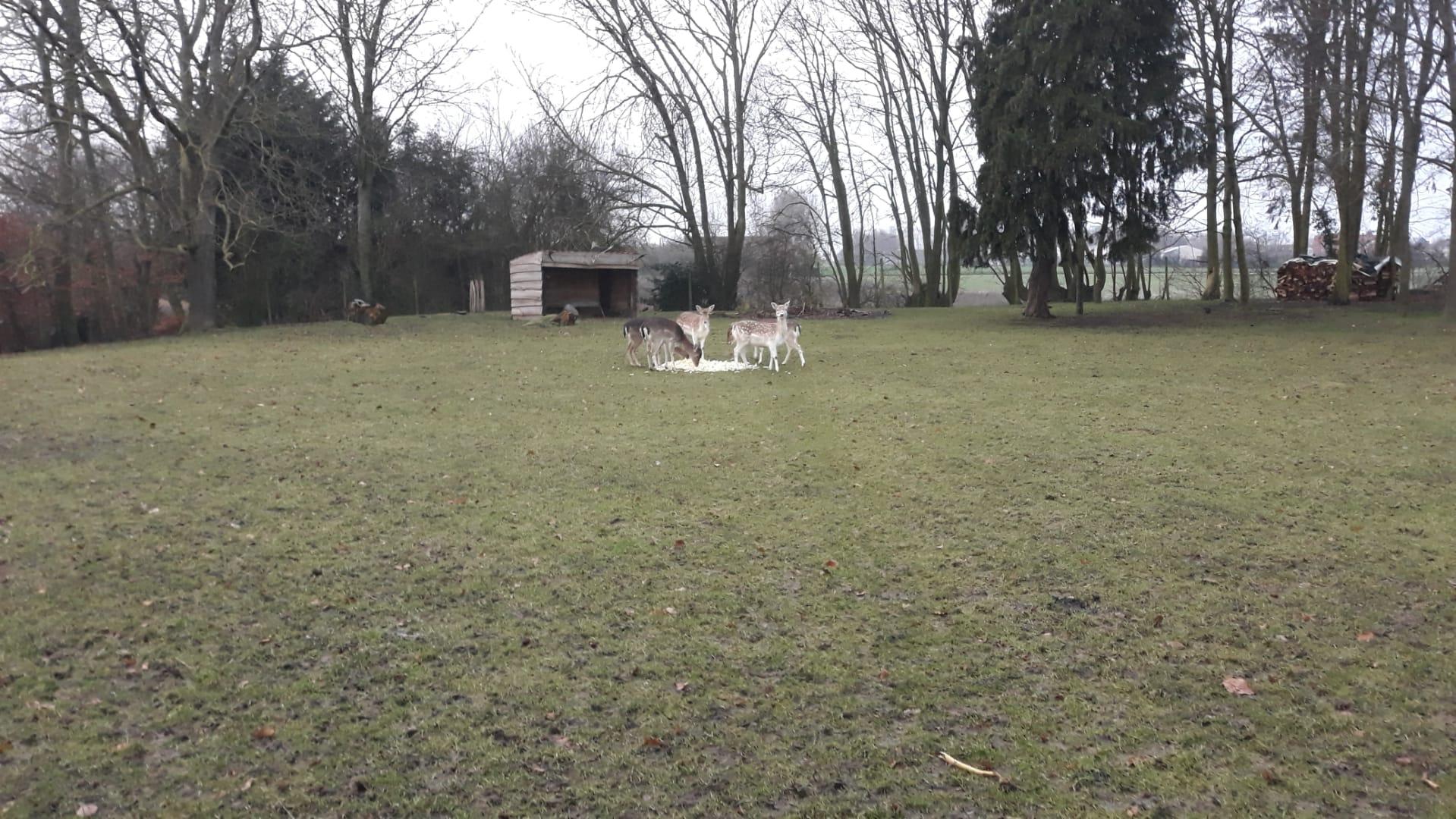 Whats App Image 2021 02 04 at 19 11 16