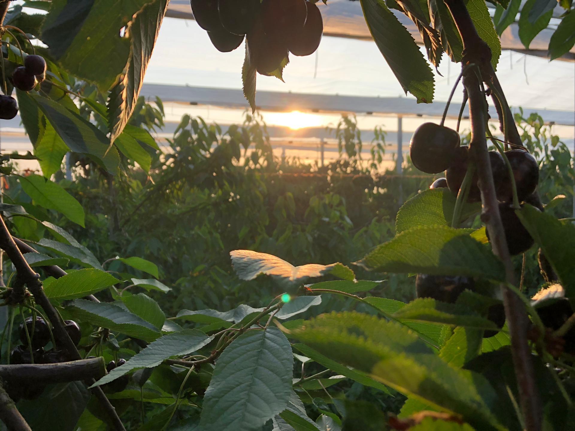 Whats App Image 2021 08 05 at 07 23 45