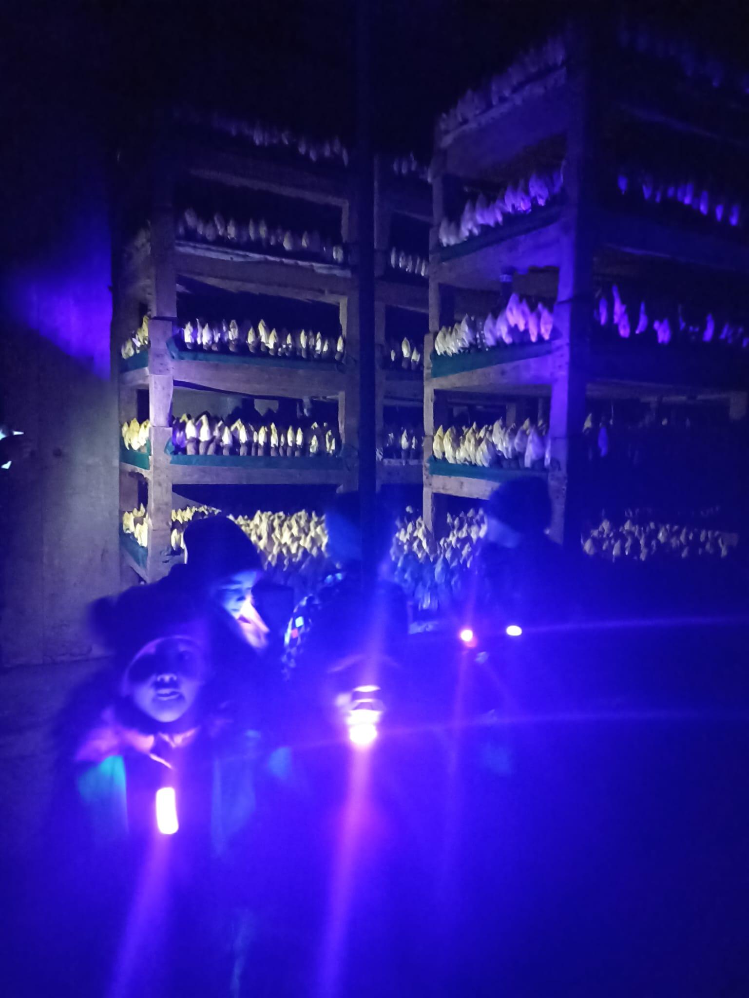 Whats App Image 2023 03 03 at 12 22 15 1