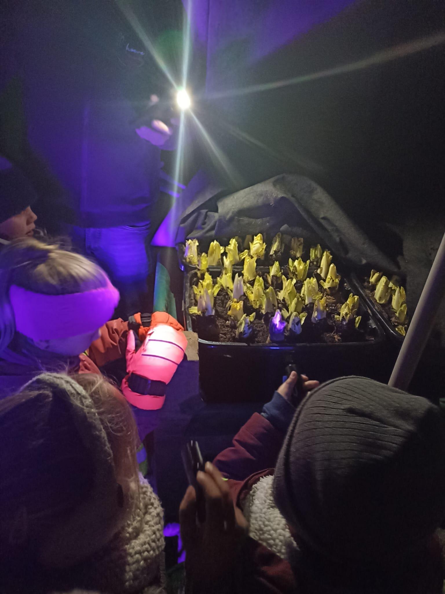 Whats App Image 2023 03 03 at 12 22 15