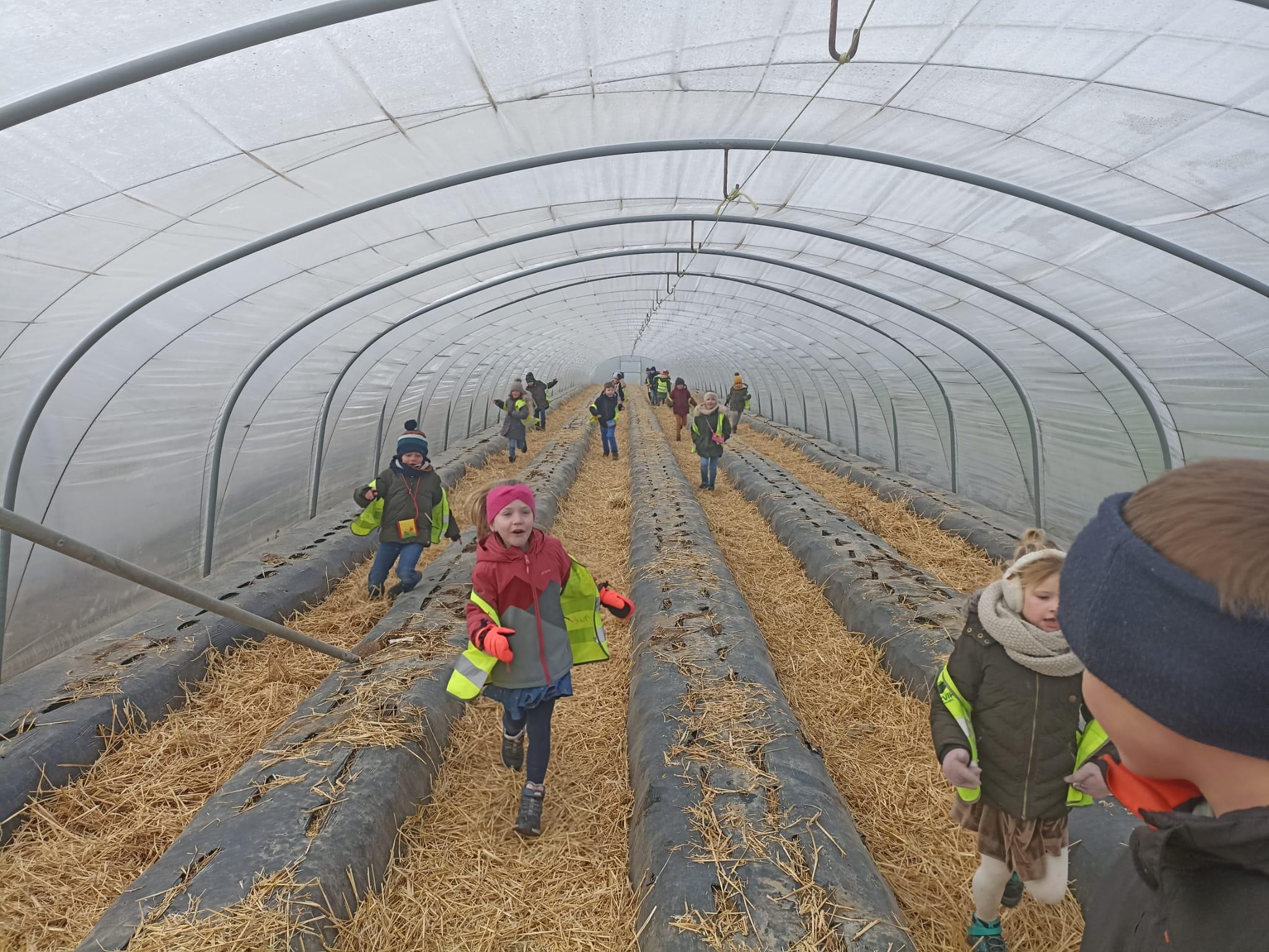 Whats App Image 2023 03 03 at 12 22 18