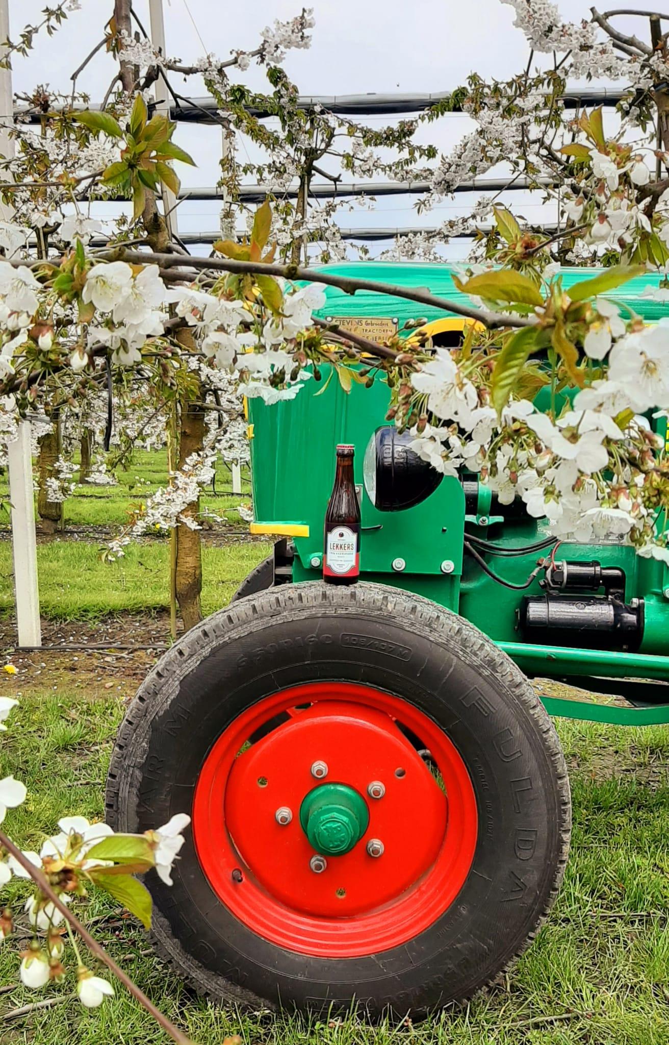 Whats App Image 2023 04 29 at 16 14 50