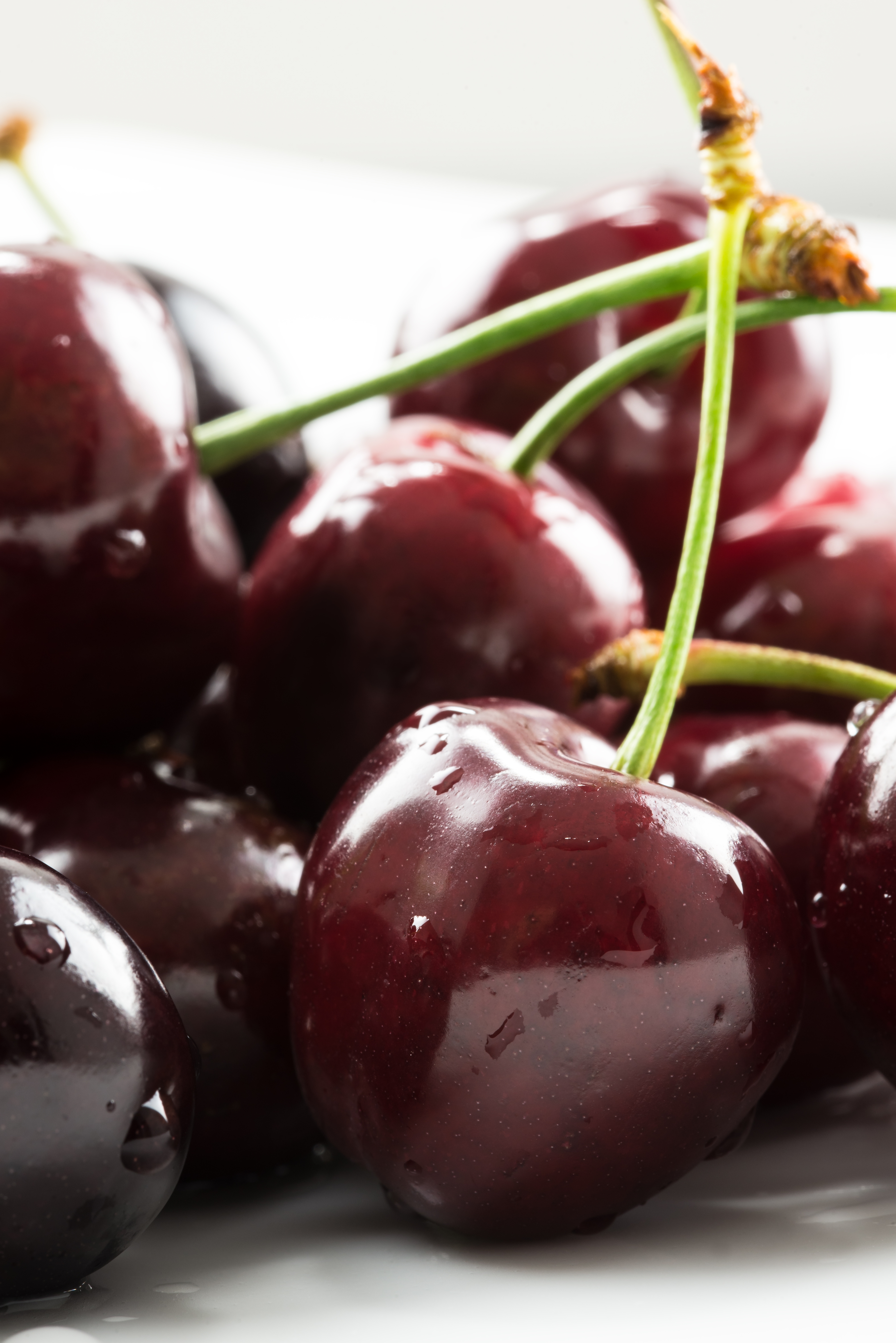 Dreamstimemaximum 41104170