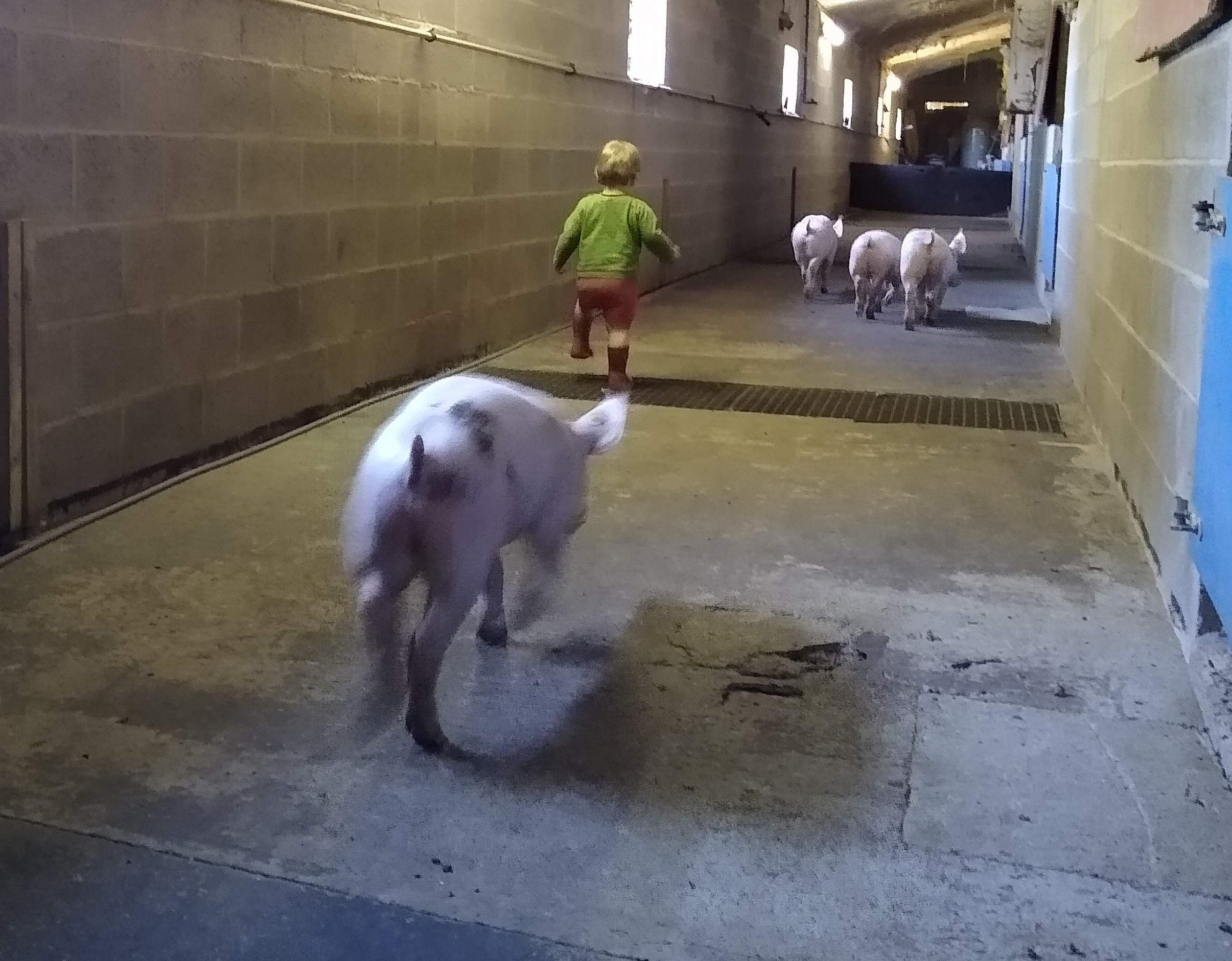 IMG 20200519 121318968 MP